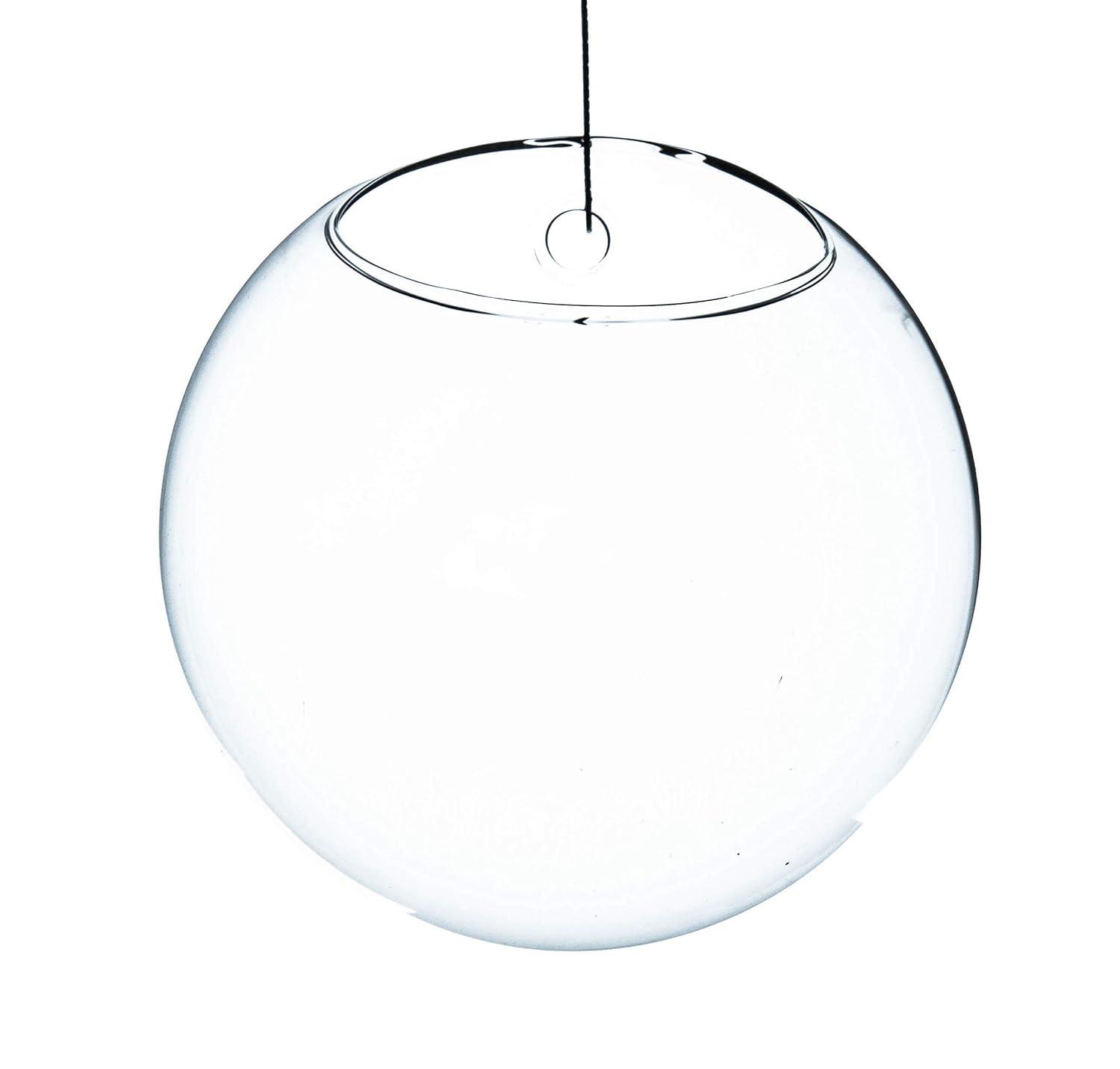 WGV Half Round Wall Hanging Terrarium - 6" Wide x 4" Depth, Good quality, Heavy Weighted Base - 1 Pc