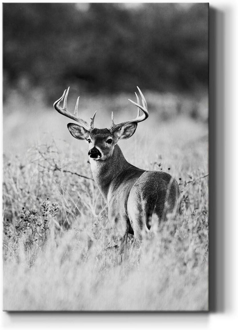 Shadudu Gallery Buck in Field Wall Art, Black & , Animal Artwork, Portrait Decor, Hunting Decorations, Premium Gallery Wrapped Canvas, Ready to Hang, 24x36in