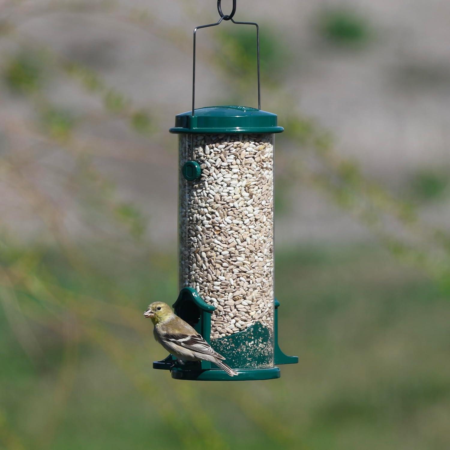 Clear Acrylic Surface Mount Bird Seed Tray with Drainage Holes