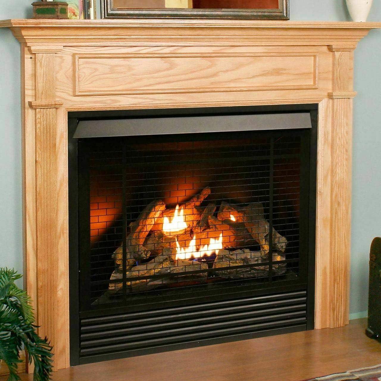 Duluth Forge Dual Fuel Ventless Fireplace Insert - 32,000 BTU, Remote Control FDI32R