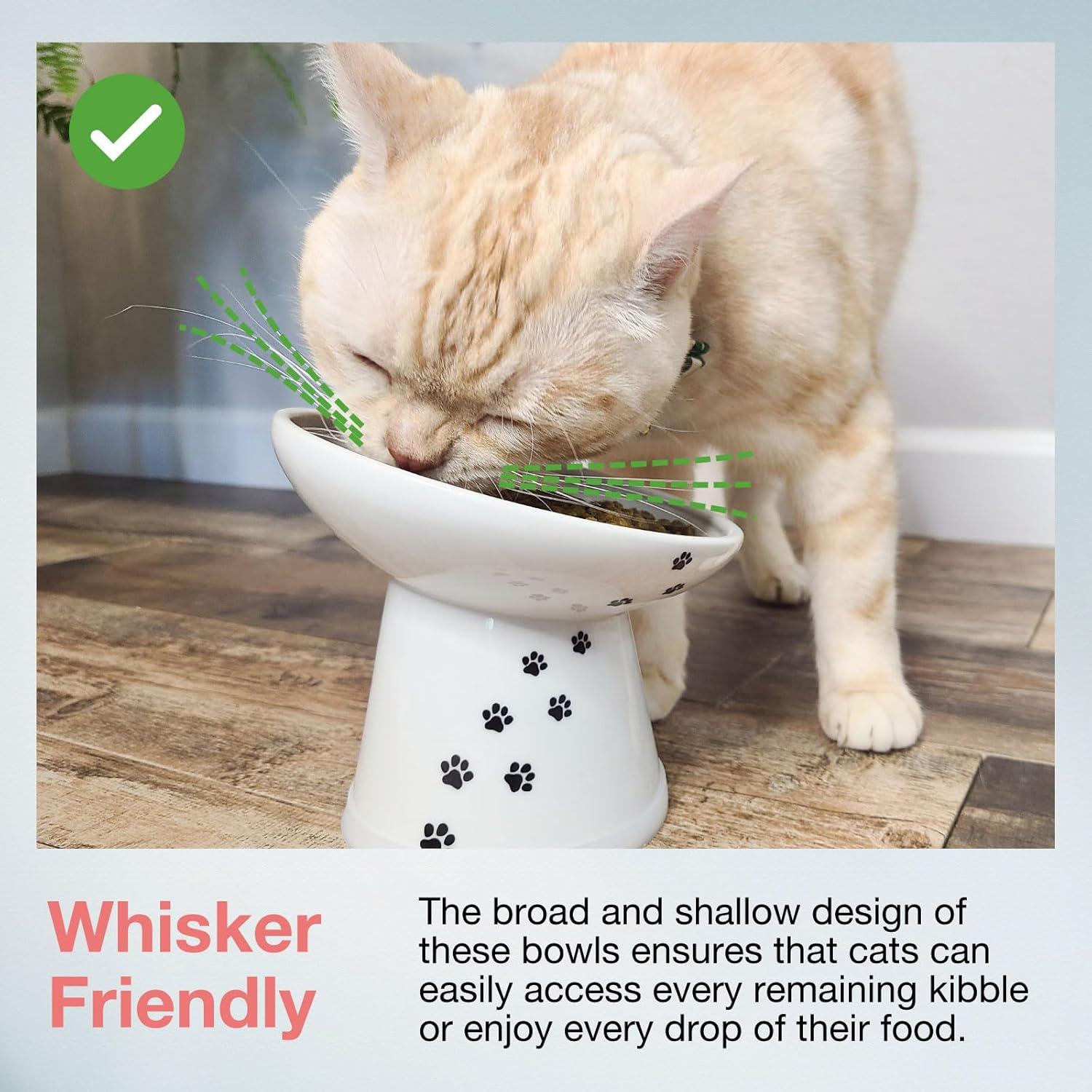 Tilted Stress Free Raised Cat Food Bowl