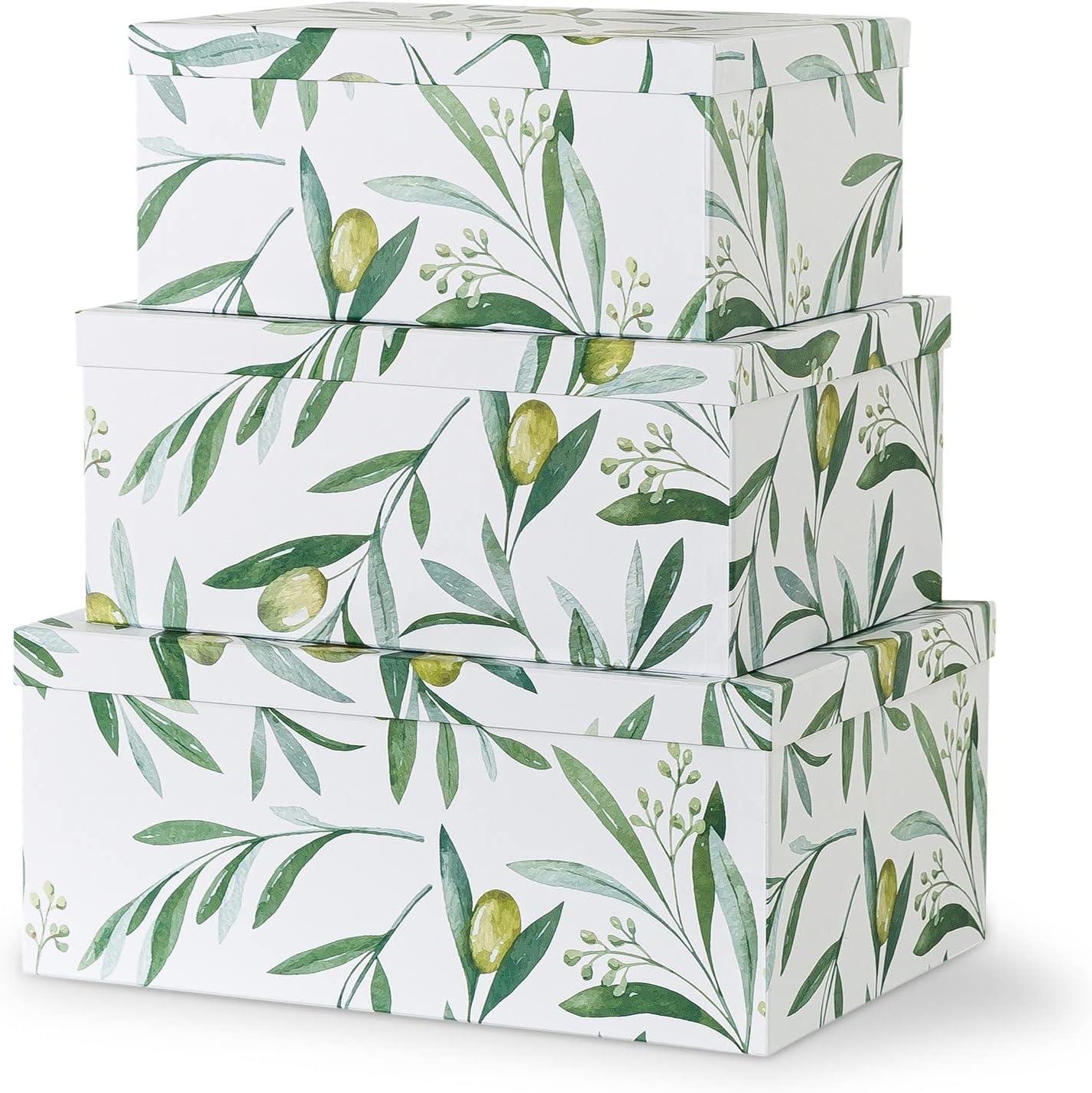 Soul & Lane Olive Branches Cardboard Boxes - Set of 3: Botanical Themed Wedding Favor Bins, Paperboard Photo Storage Box, Flower Decorative Storage Boxes with Lids, Green and White Gift Bins
