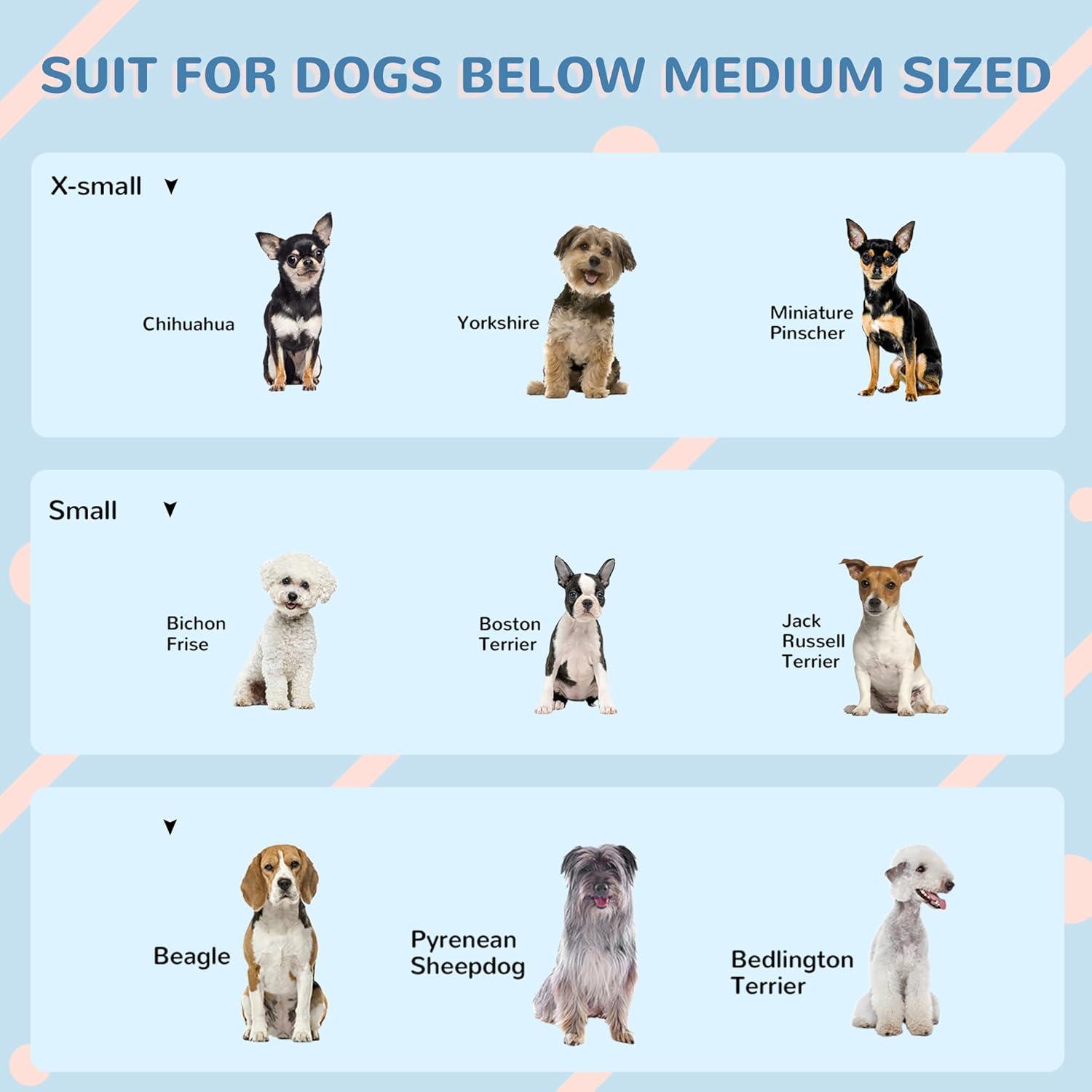 Plastic Dog House with Door Indoor Outdoor Waterproof Puppy Shelter