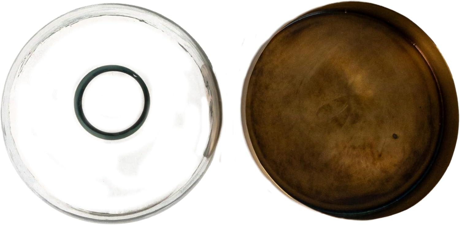 Antique Brass and Clear Glass Cloche with Metal Tray