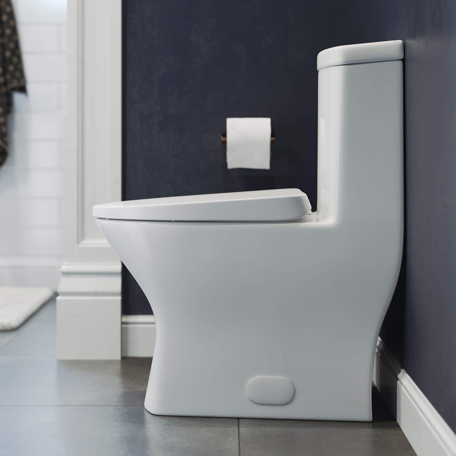 Sublime II One-Piece Round Toilet Dual-Flush 1.1/1.6 gpf