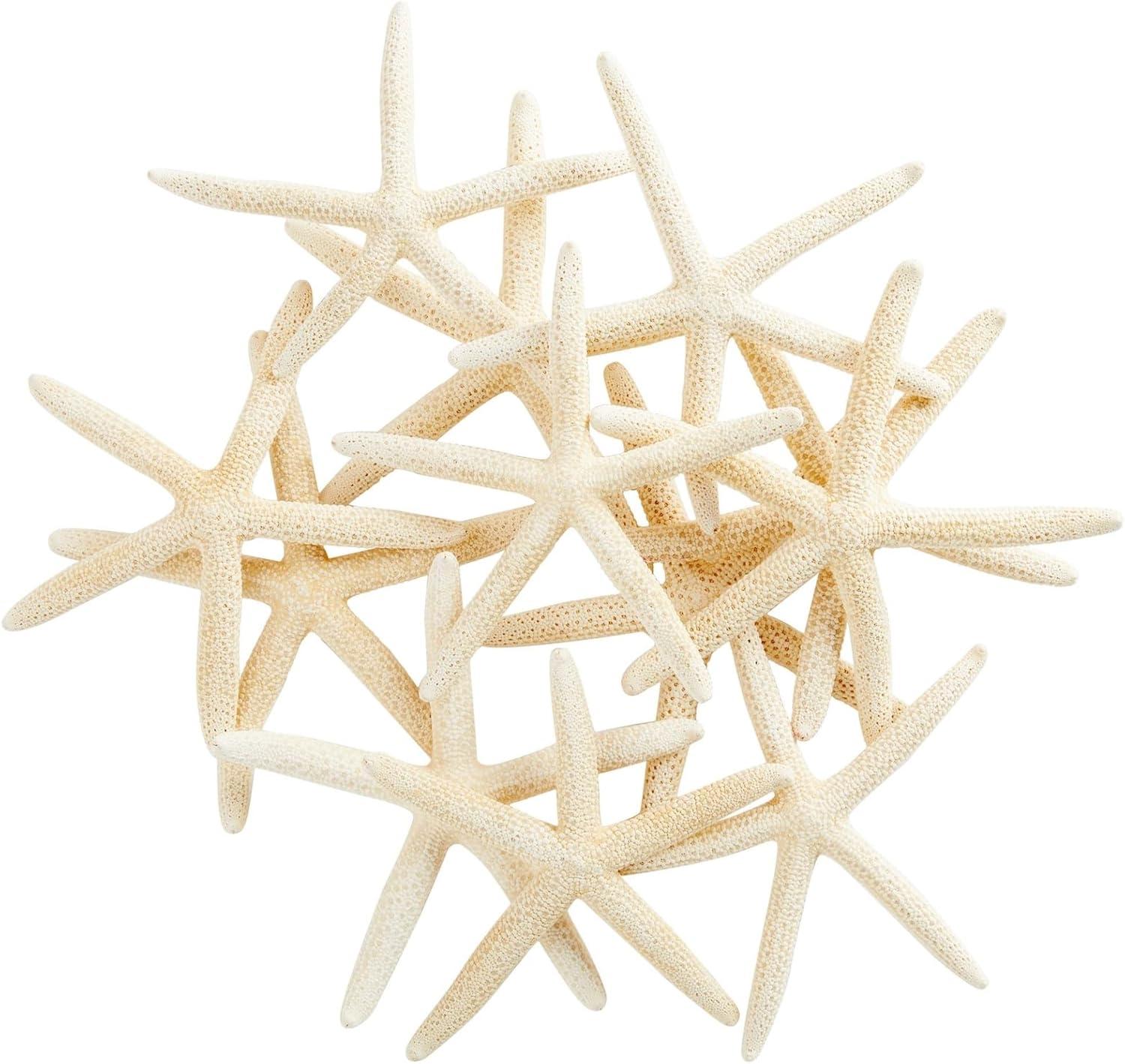 12 Pack White Finger Starfish for Nautical Decor and Crafts