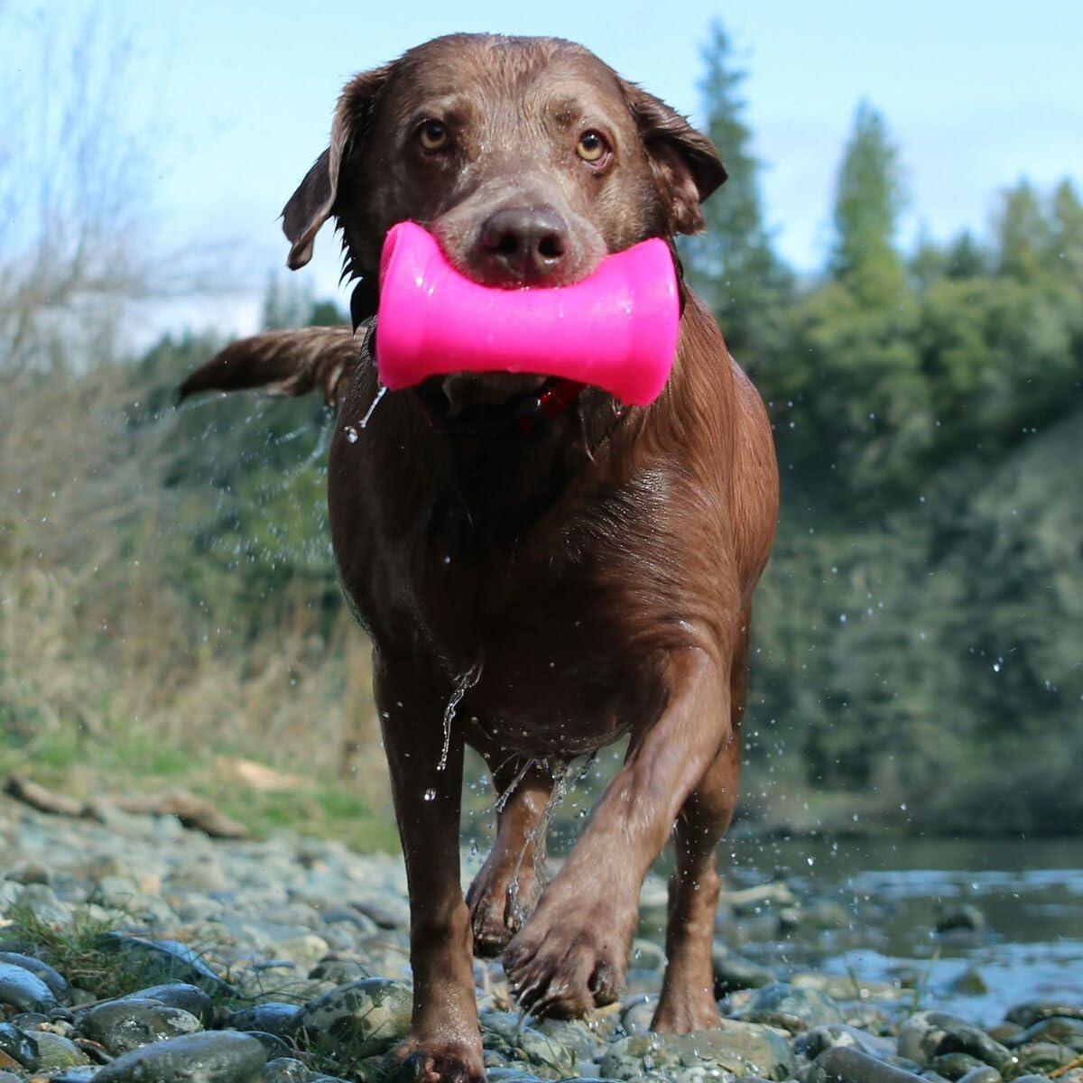 Ruff Dawg Crinkit Rubber Indestructible Retrieving Dog Toy for Water Bottles, Color Varies
