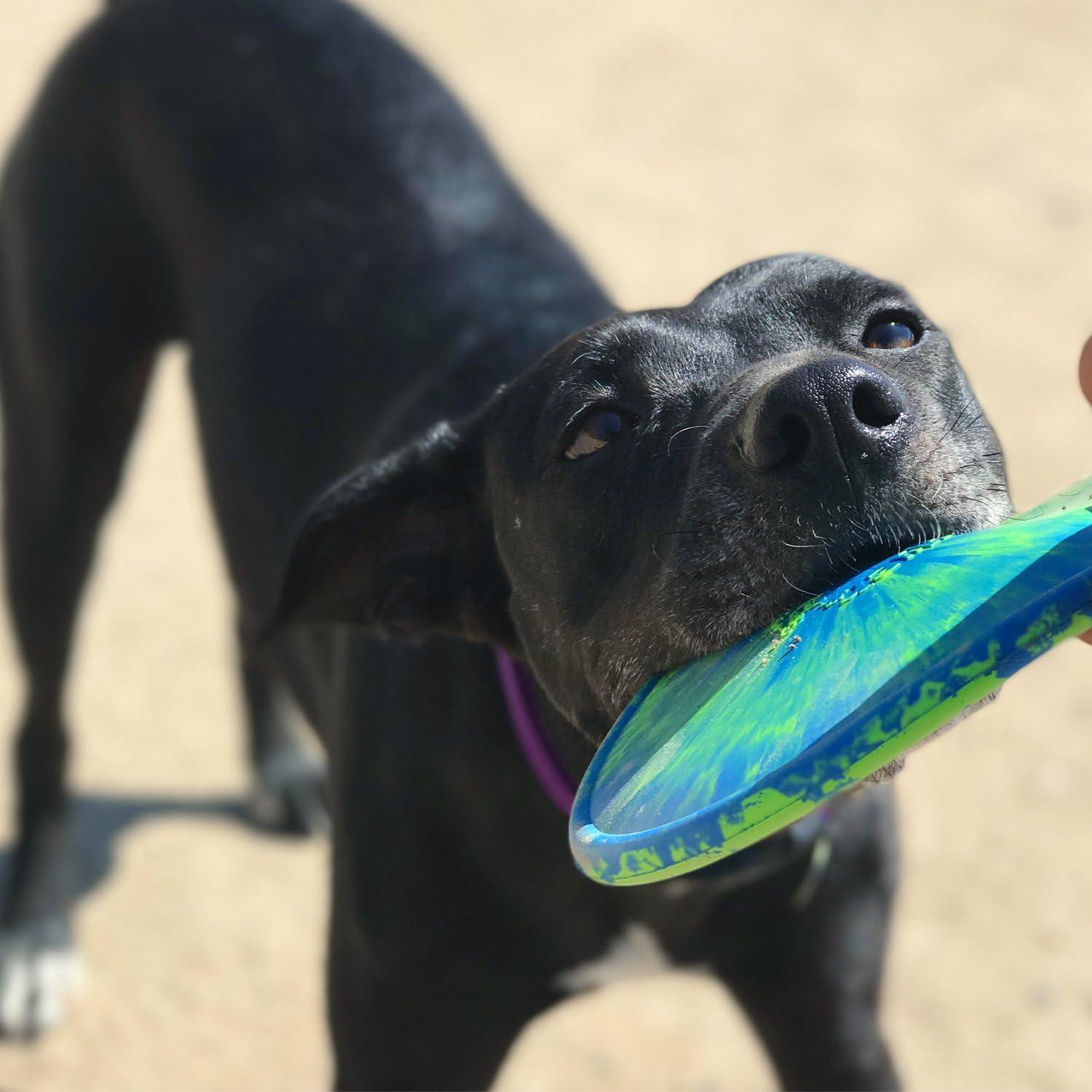 Ruff Dawg Crinkit Rubber Indestructible Retrieving Dog Toy for Water Bottles, Color Varies