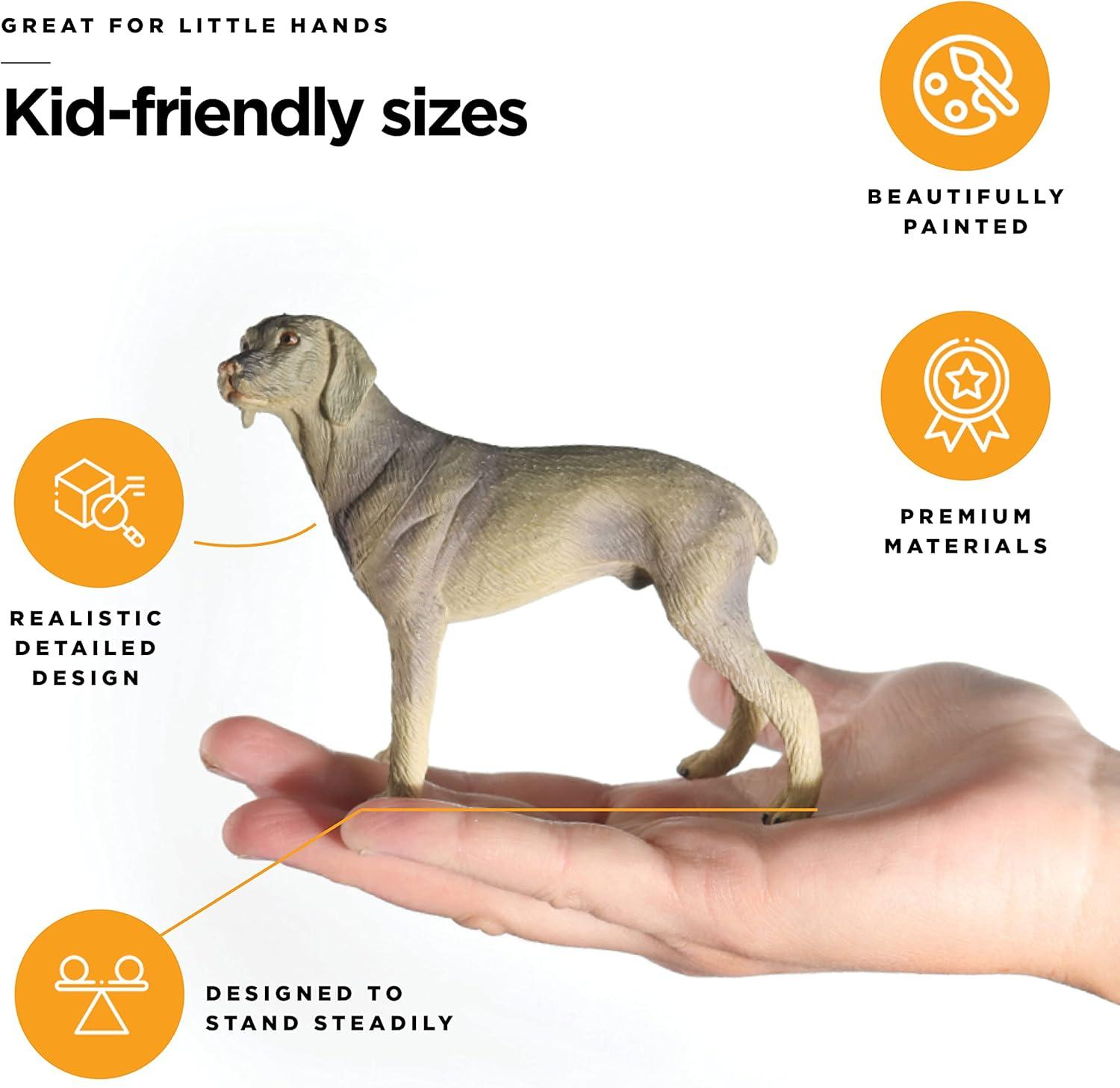 Friendly Dog Figurines for Kids and Toddlers - Set of 12 Realistic Pet Pocket Dog Figures - Non-Toxic Dog Cake Topper, Educational and Imaginative Play Detailed Farm Dog Animal Figurines, Ages 3+