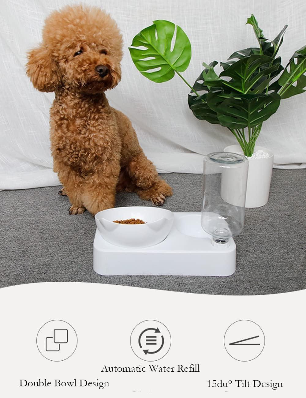 Marchul Tilted Cat Bowl Set for Food and Water, Food Feeding Raised Dishes for Puppies