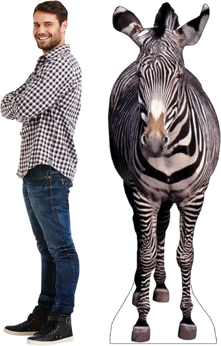 Advanced Graphics Lifesize Wall Decor Cardboard Standup Poster Zebra