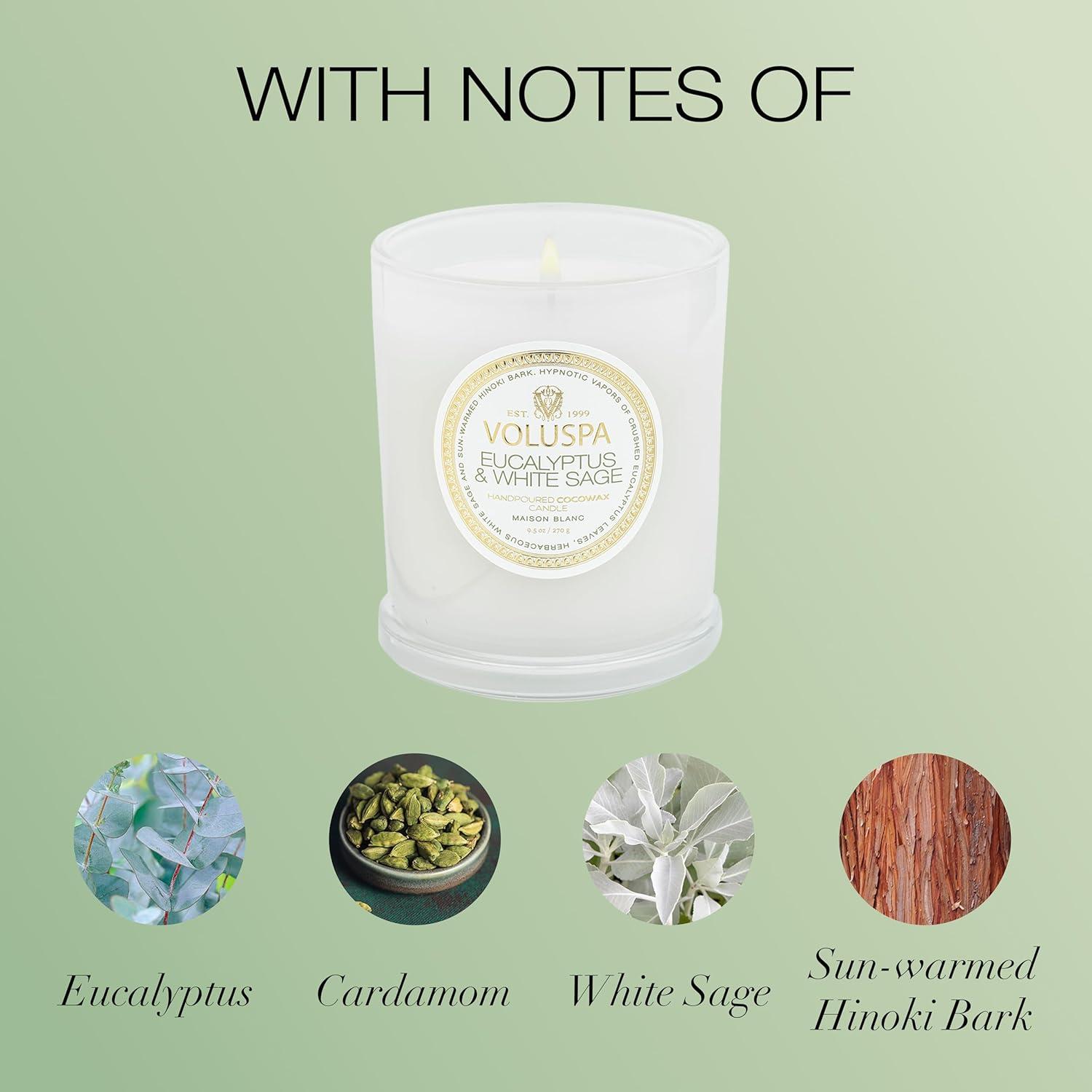 Eucalyptus & White Sage 9.5 oz Coconut Wax Candle