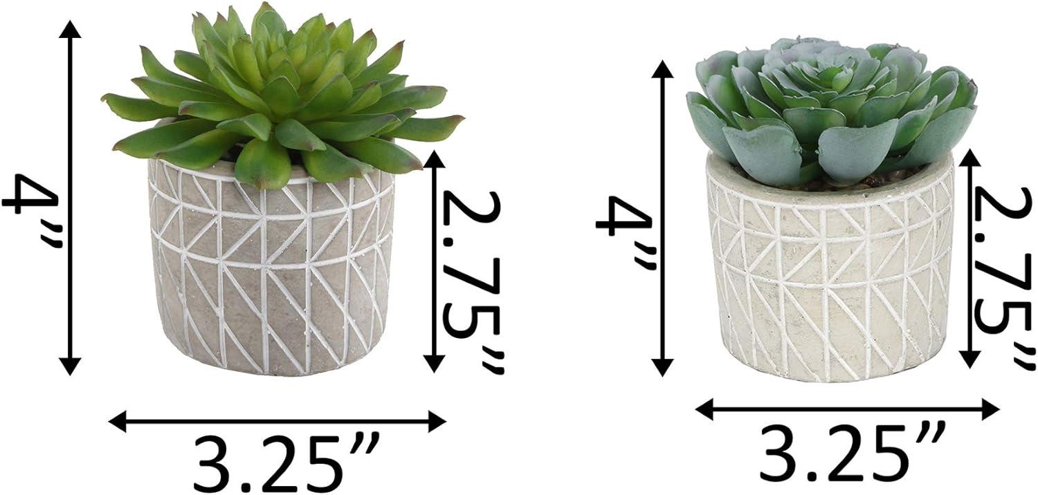 Flora Bunda Mid Century Artificial Plants Cactus Set of 2 Fake Succulent in 3" Cement Diamond line Pot Grey Planter, Potted Plants, for Home Office Decorations C65