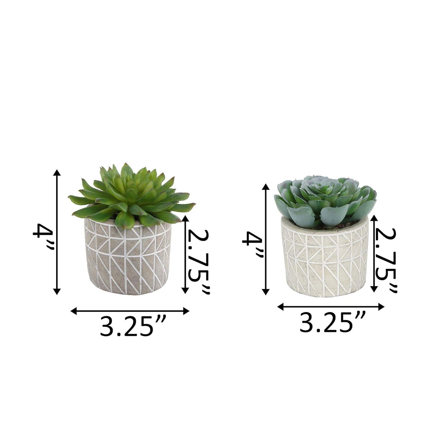 Flora Bunda Mid Century Artificial Plants Cactus Set of 2 Fake Succulent in 3" Cement Diamond line Pot Grey Planter, Potted Plants, for Home Office Decorations C65