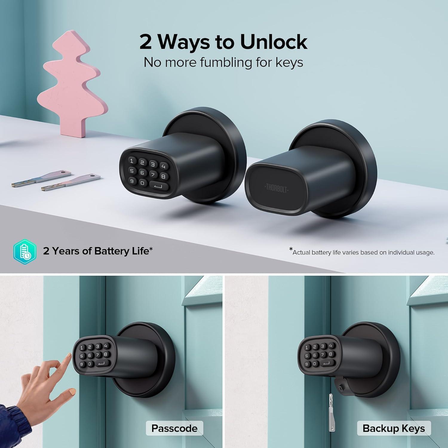 Black Keyless Entry Door Knob with Keypad and Zinc Alloy