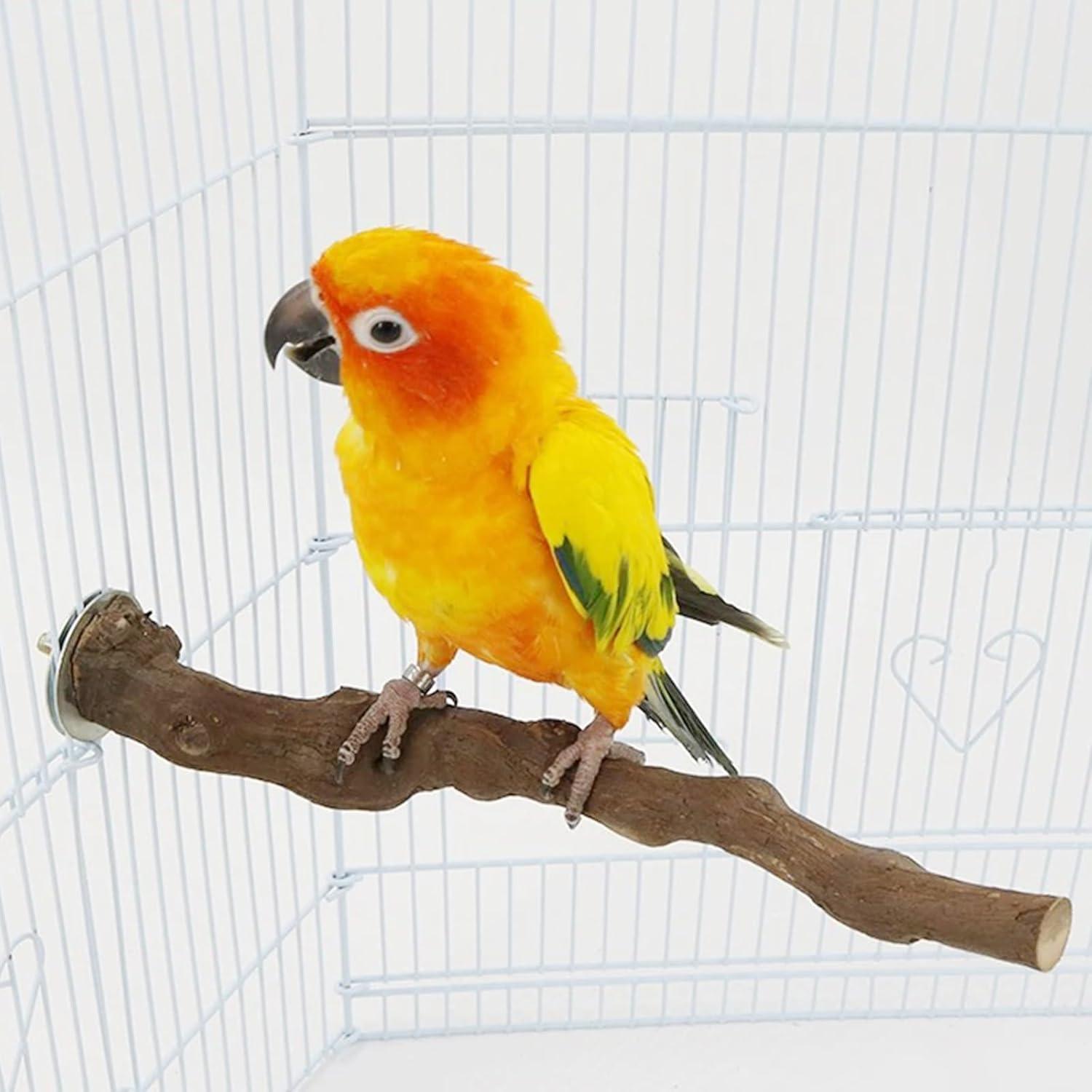 Allazone Natural Wooden Bird Perch Stand for Cage, Parrot Platform, Bird Perch Toy for Small Animals, Cockatiels, Parakeets, Finches