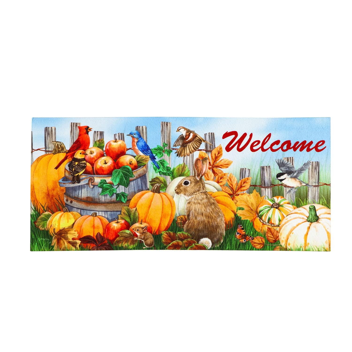 Evergreen Enterprises, Inc Sassafras Fall Holiday Set of 5 20"x10" Door Mats with Rubber Display Frame, Collection #2