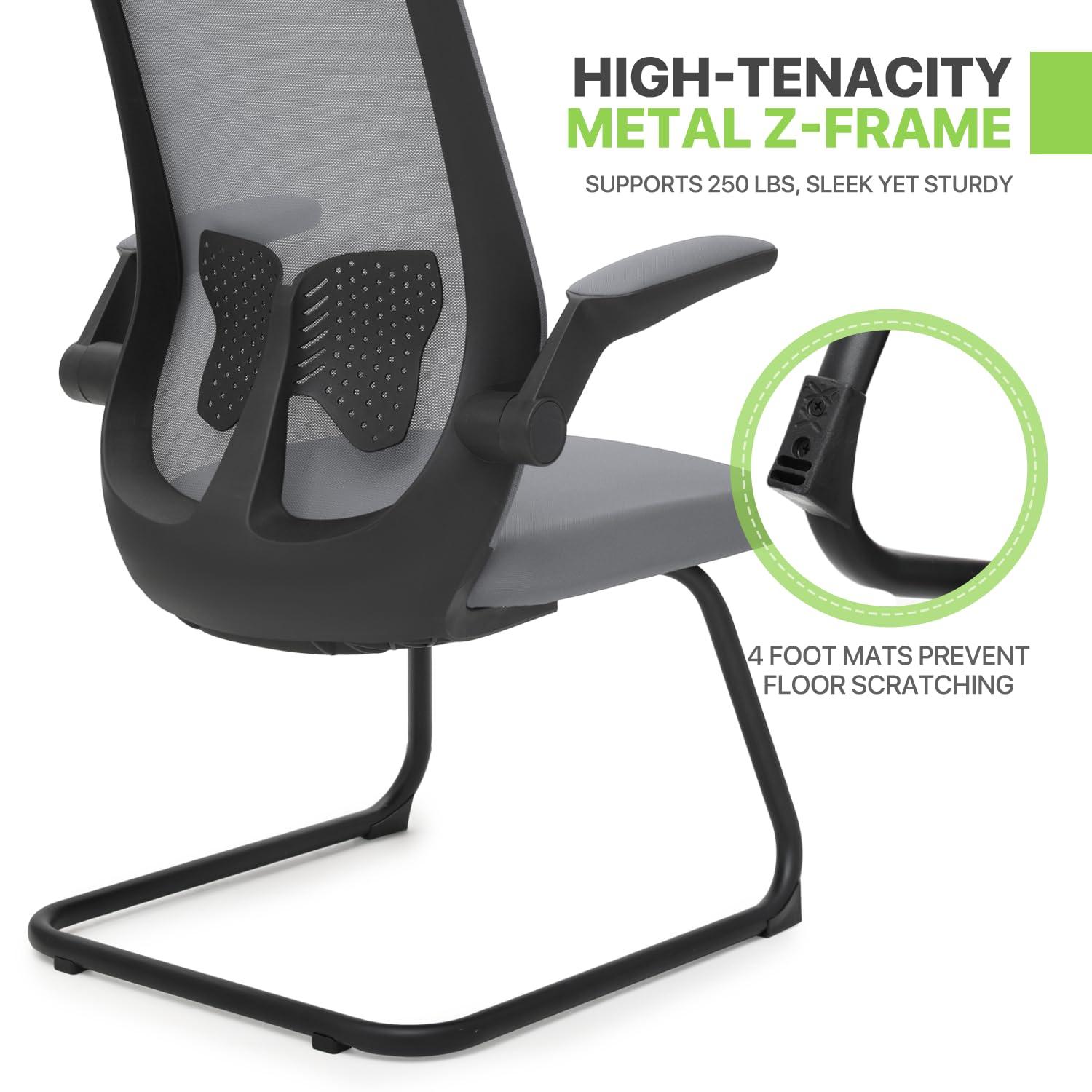 Magshion Set of 2 Ergonomic Office Chair, Computer Desk Seat with Lumbar Support & Flip-Up Arms for Home Office, Grey