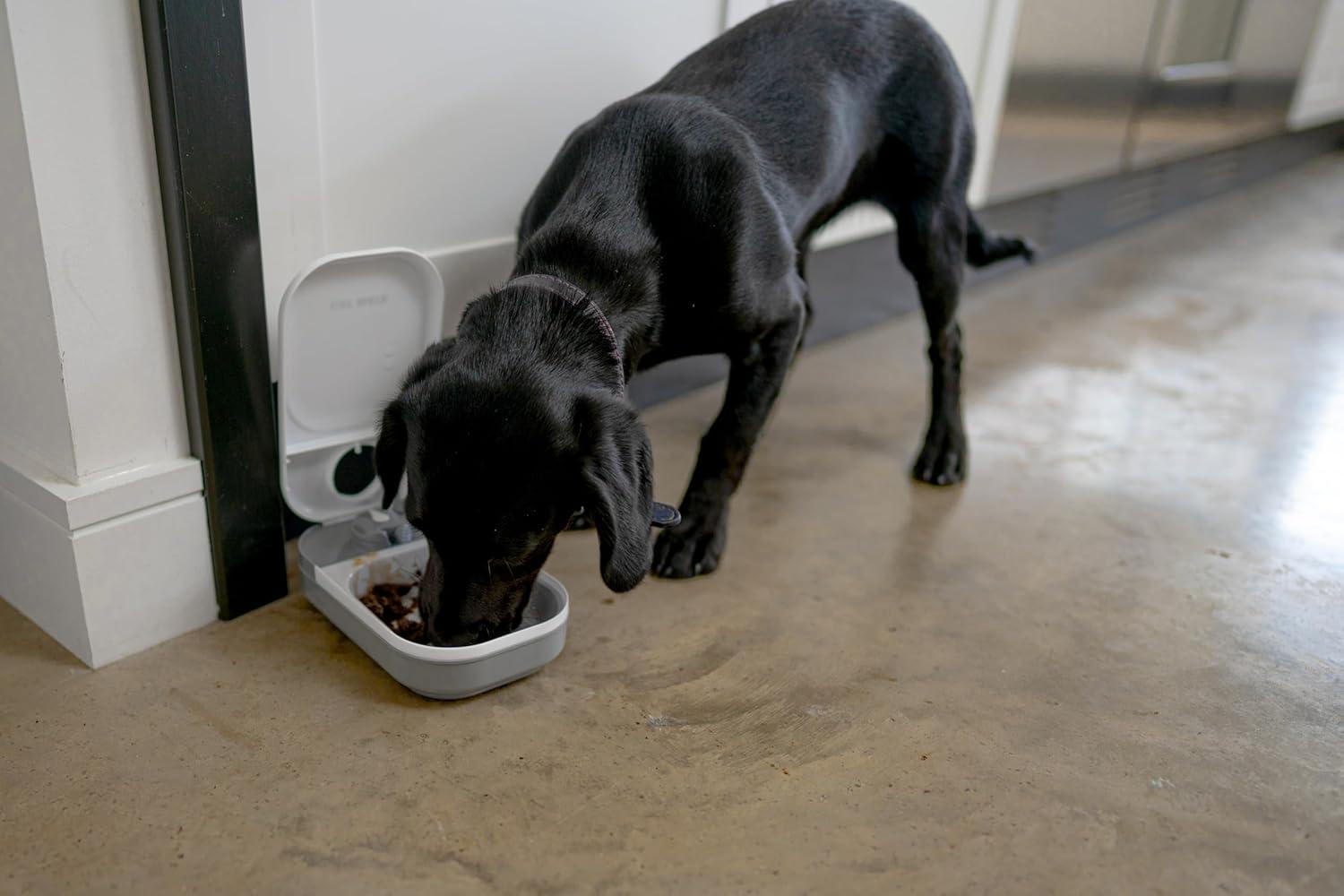 Cat Mate Single Meal Automatic Pet Feeder, BPA-Free, Fly-Proof, Holds 14 oz. of Wet Food