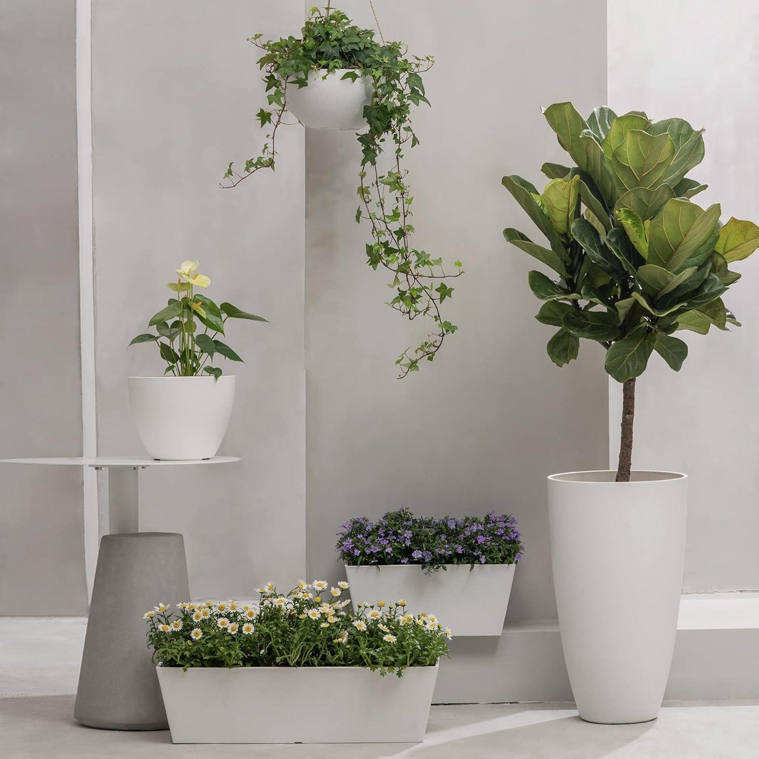Boxdale Hanging Planter - Set of 2 (Set of 2)