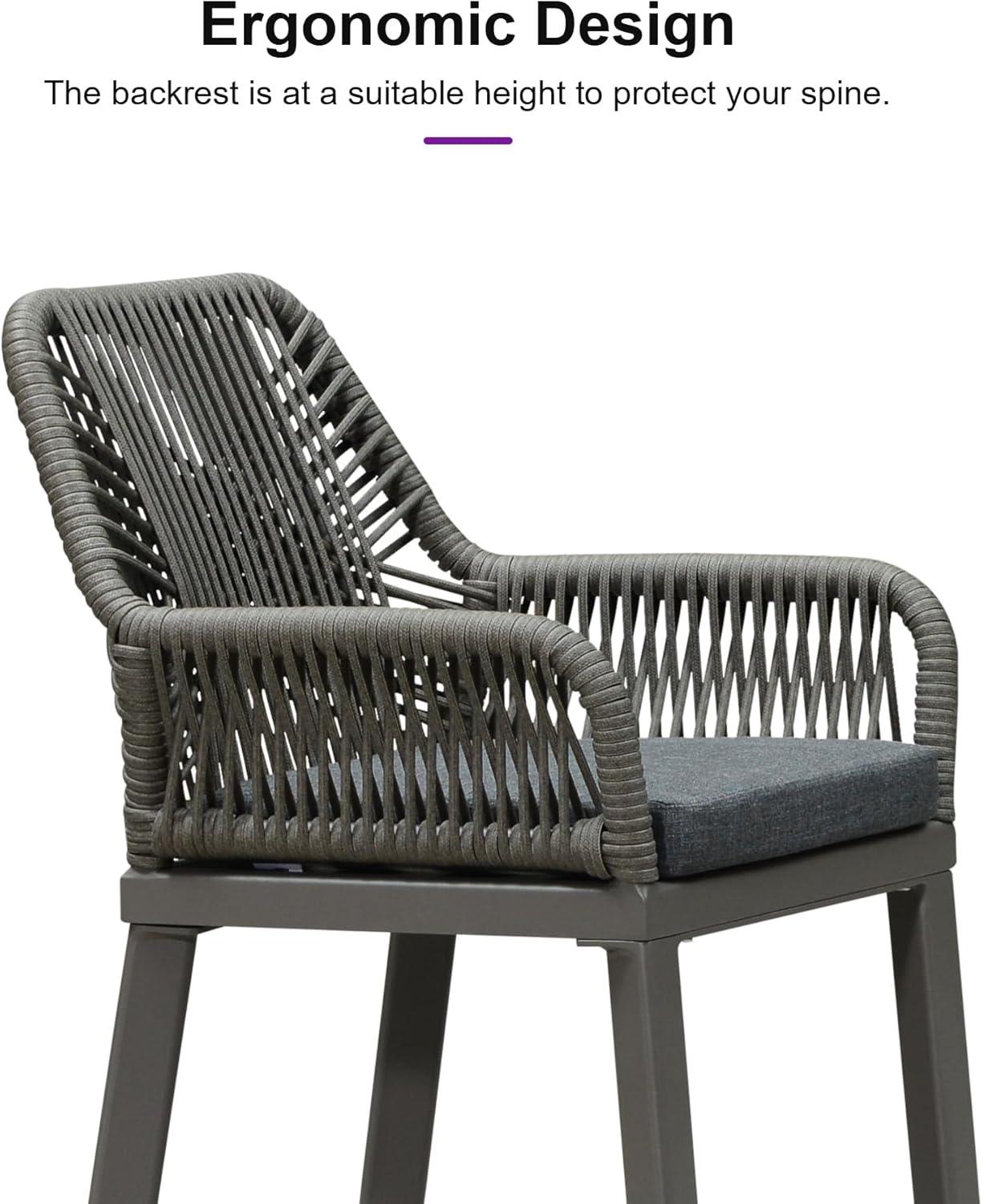 PURPLE LEAF Outdoor Wicker 29" Bar Stools Set of 2, Boho Patio Bar Height Chair with Cushion and Back for Outdoor and Indoor, Garden, Patio, Smoke Grey