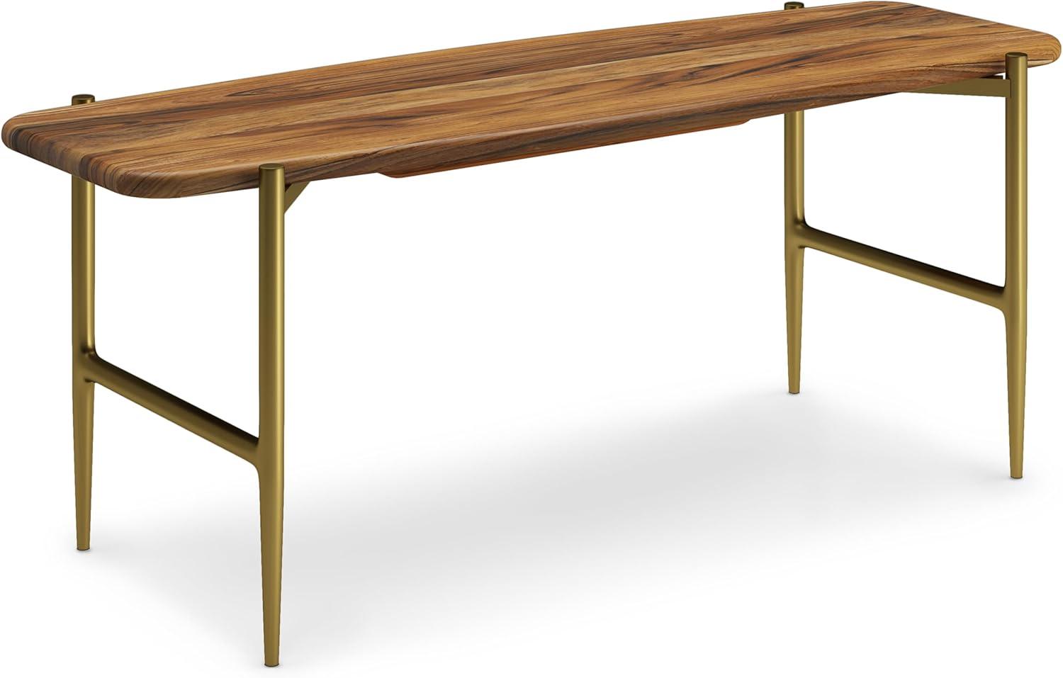 Wagner 46" Transitional Acacia Wood Bench with Antique Brass Metal