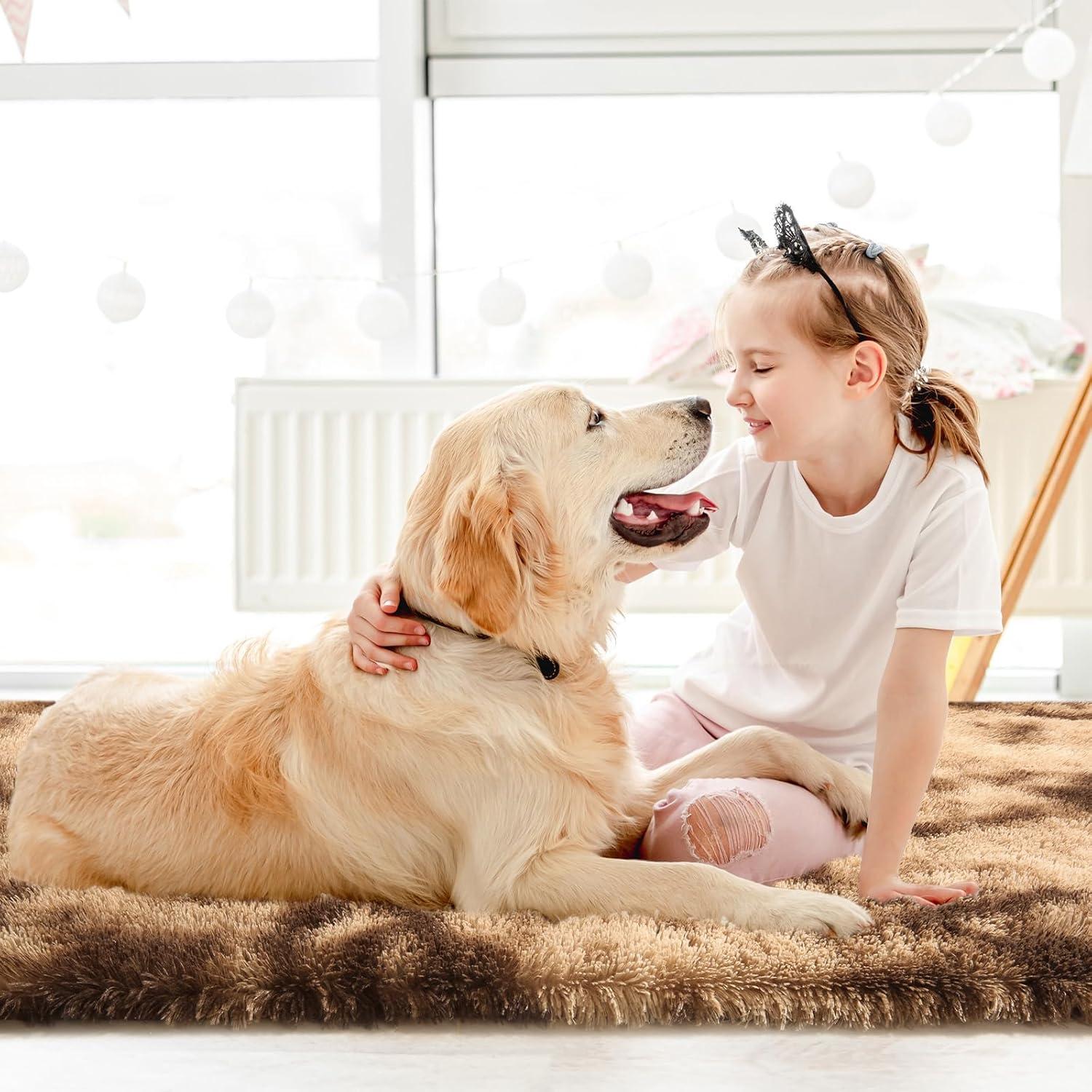 Sour Lemon Area Rugs 8x10 Living Room, Large Area Rug Shag Shaggy Carpet Soft Plush Furry Bedside Rug, Machine Washable Area Rugs for Bedroom Kids Girls Boys Home Decor Anti Slip