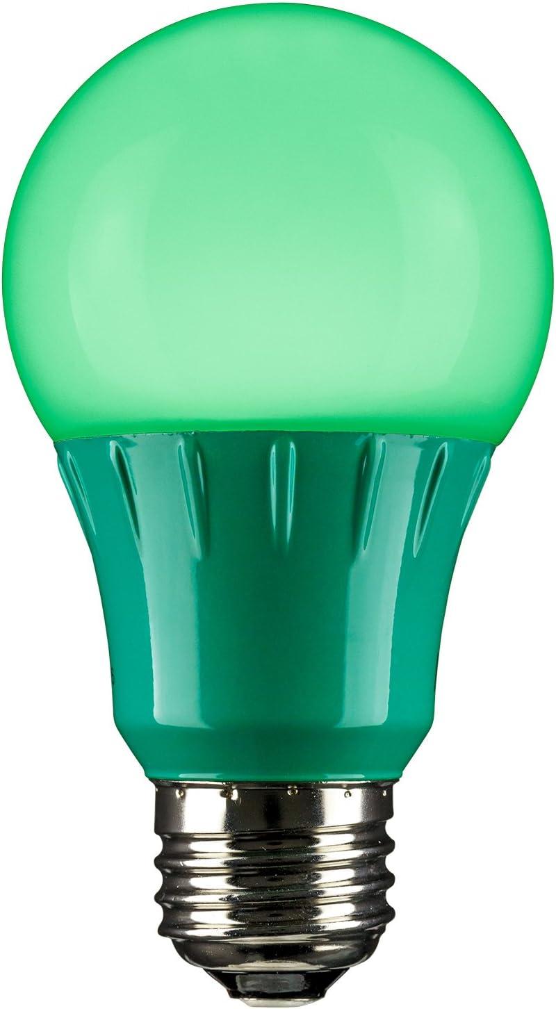 Green Frosted LED A19 Decorative Light Bulb