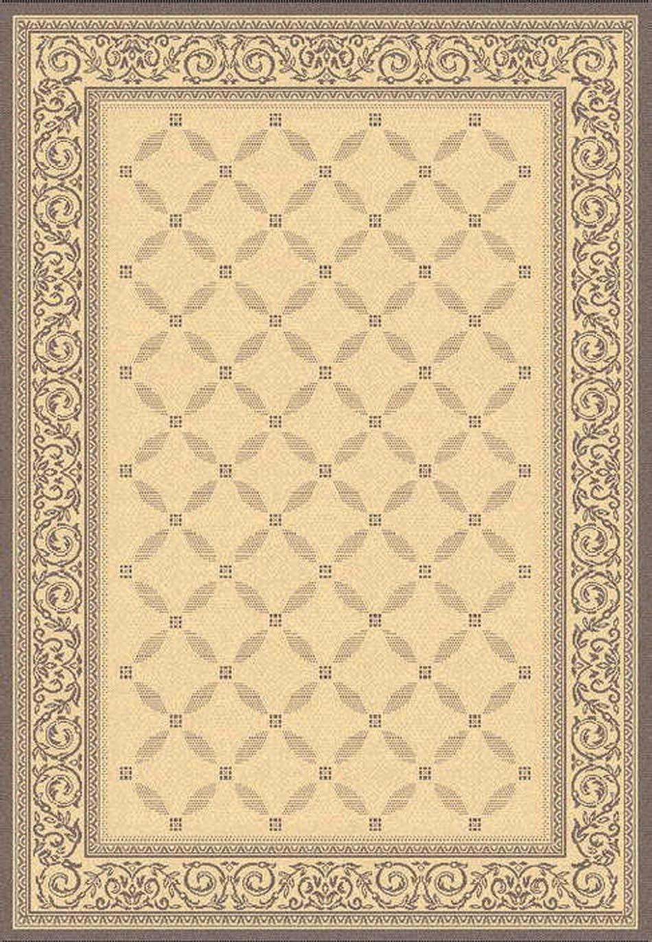 Natural Brown Flat Woven Synthetic Indoor Outdoor Area Rug