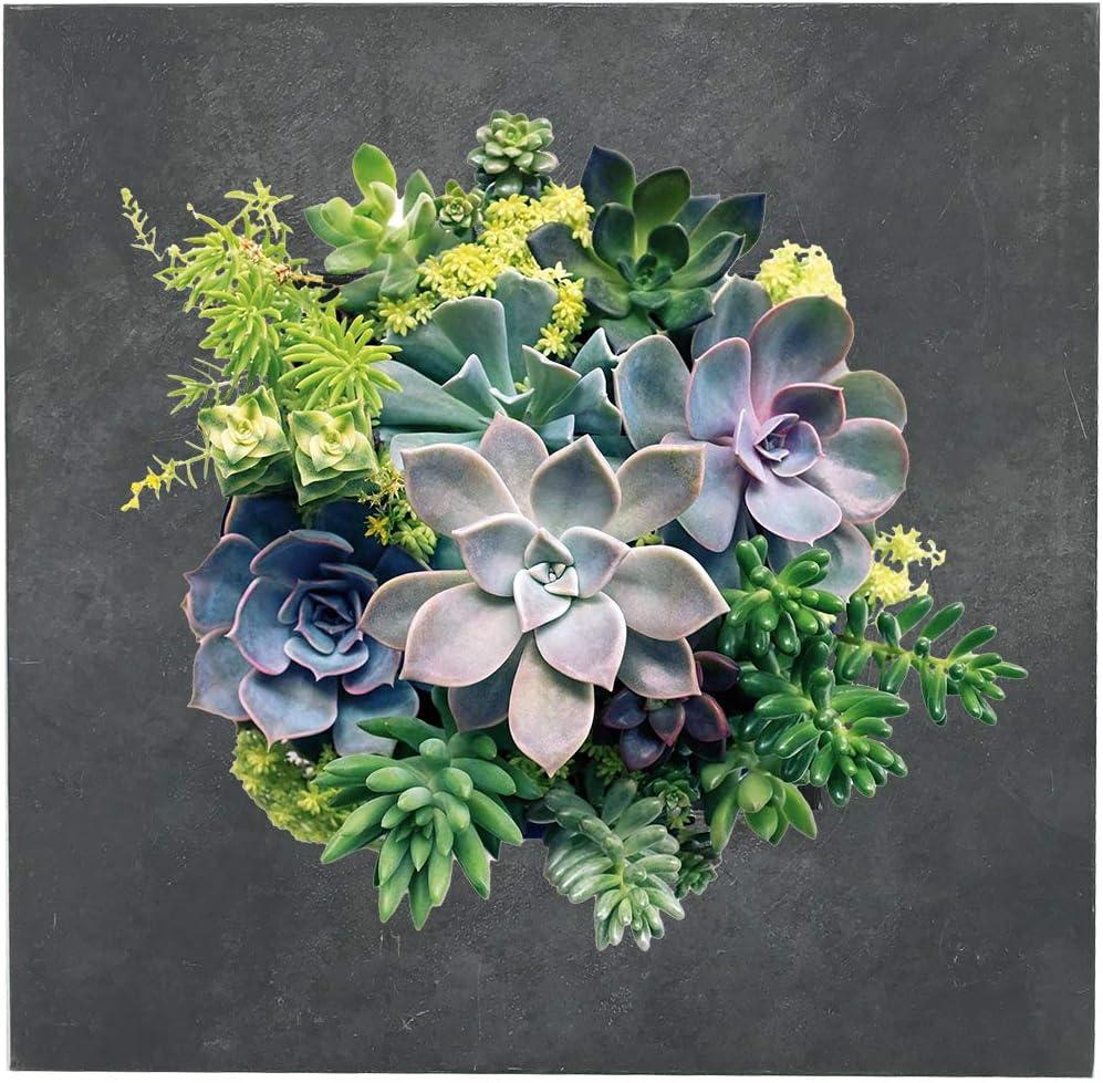 Modern Home Living Wall Galvanized Steel/Zinc Succulent Planter (Black Zinc, 4 Pocket)