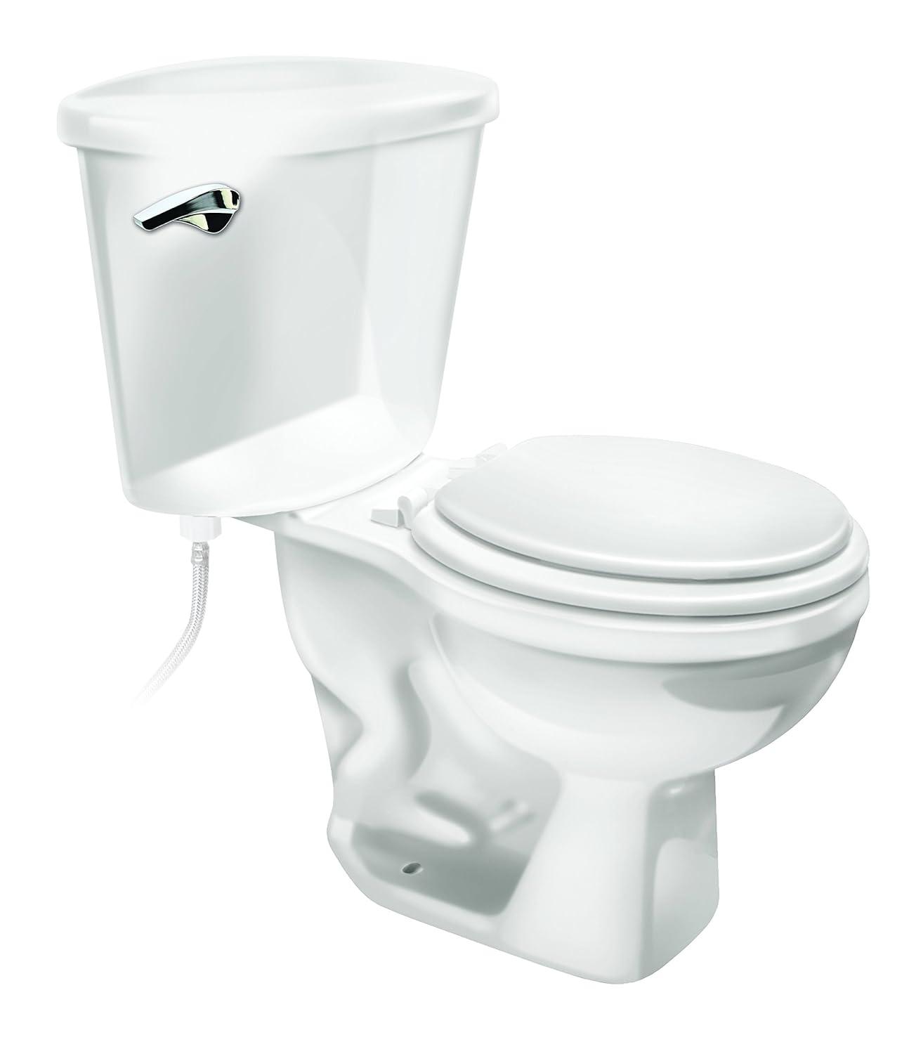 Fluidmaster Sure-Fit Basic Chrome Tank Lever with Plastic Arm 681