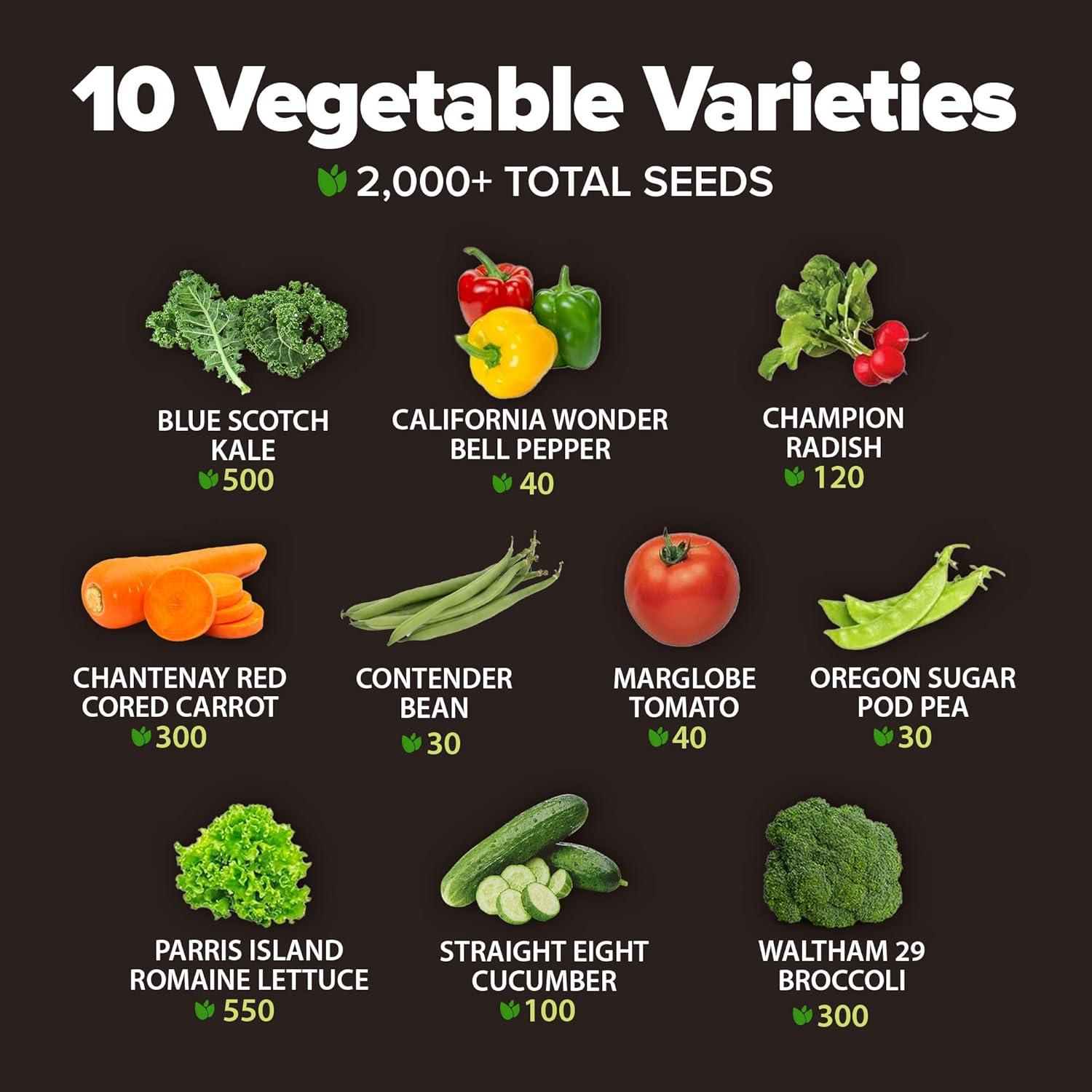Heirloom Vegetable Seeds -10 Variety - Non GMO Vegetable Seeds For Planting Indoor or Outdoors, Brussel Sprouts, Carrots, Peppers, Cucumber, Kale, Romain, Peas, Radish, Tomato Seed - Home Garden Seeds
