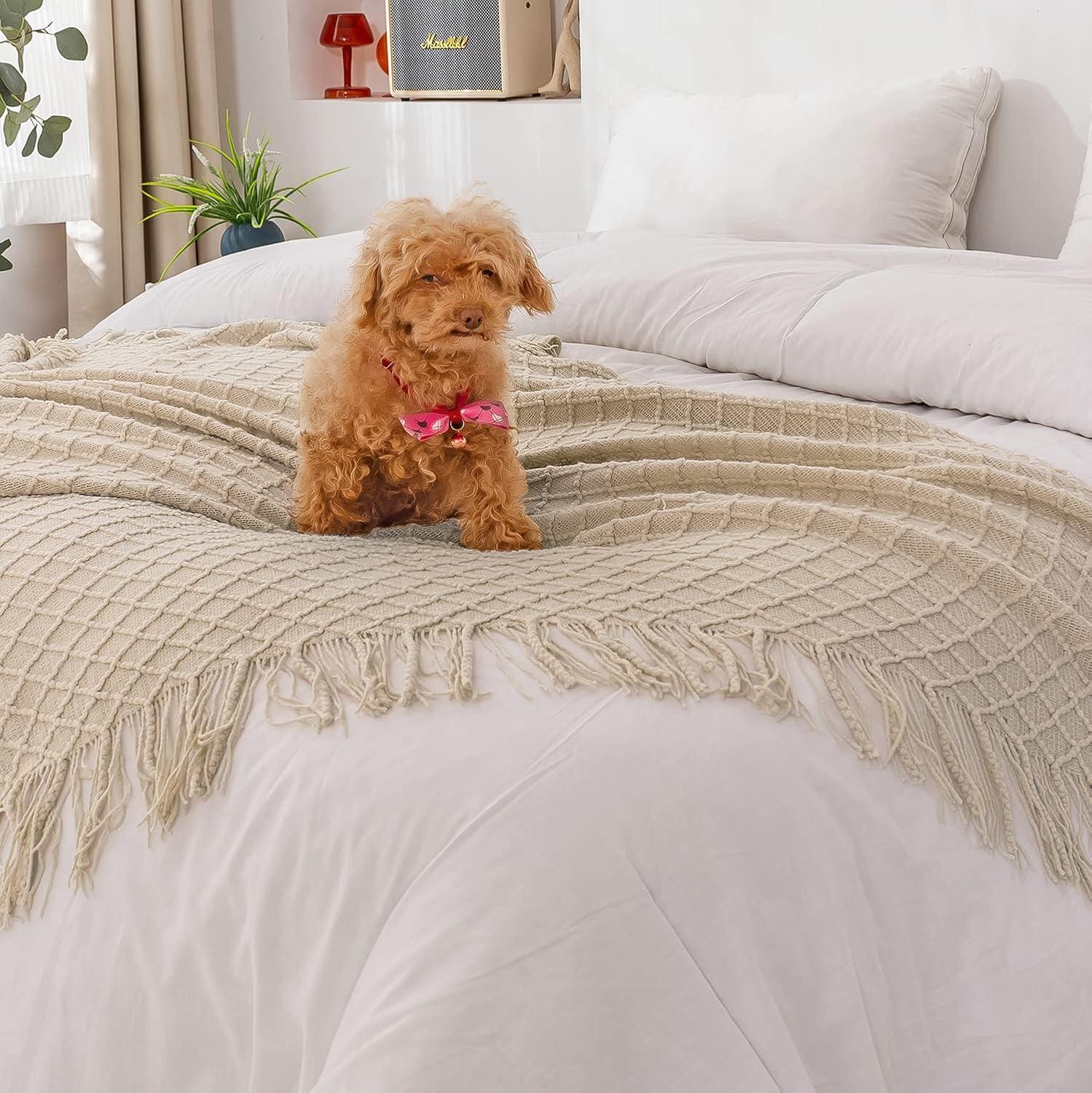 Lunarose Throw Blanket for Couch,Soft Cozy Knit Blanket,Lightweight Decorative Throw for Sofa Chair Bed Travel and Living Room-All Seasons Suitable for Women,Men and Kids (White-Wave, 50"x60")