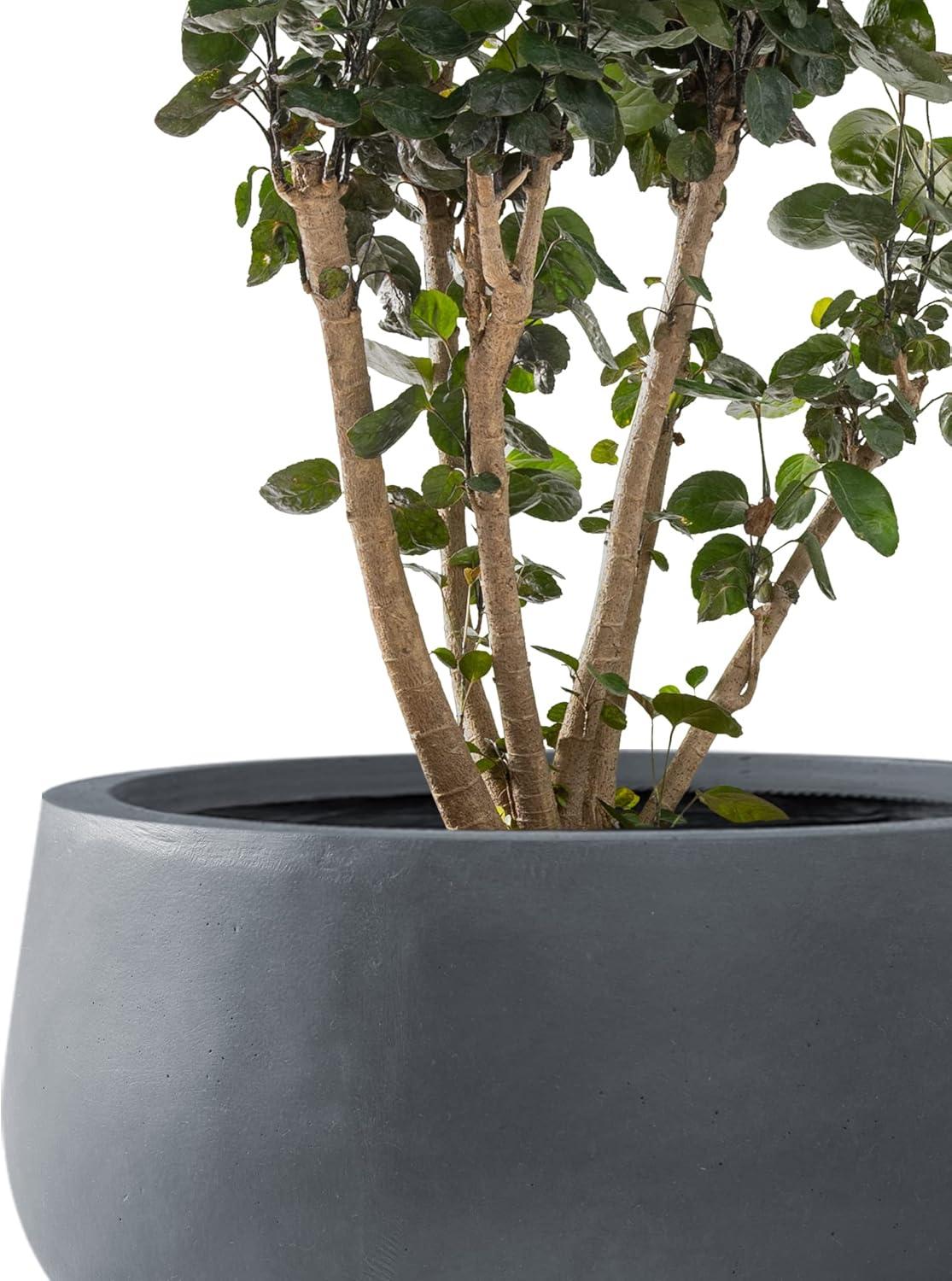 Charcoal Round Concrete Planters Set of 3 with Drainage Holes