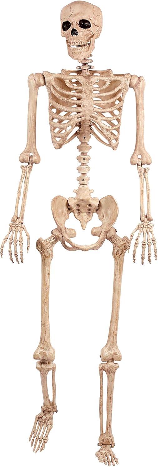 Crazy Bonez Pose-N-Stay Life Size 5 FT Skeleton with Realistic Posable and Movable Joints for Halloween Indoor and Outdoor Decoration