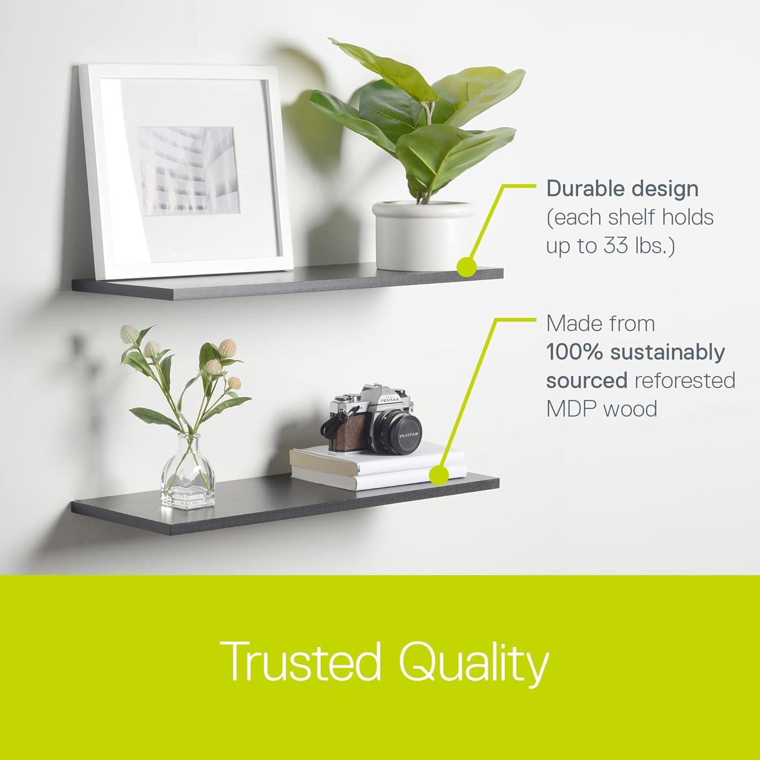 Delta Design 2 Piece Wall Shelf Set (Set of 2)