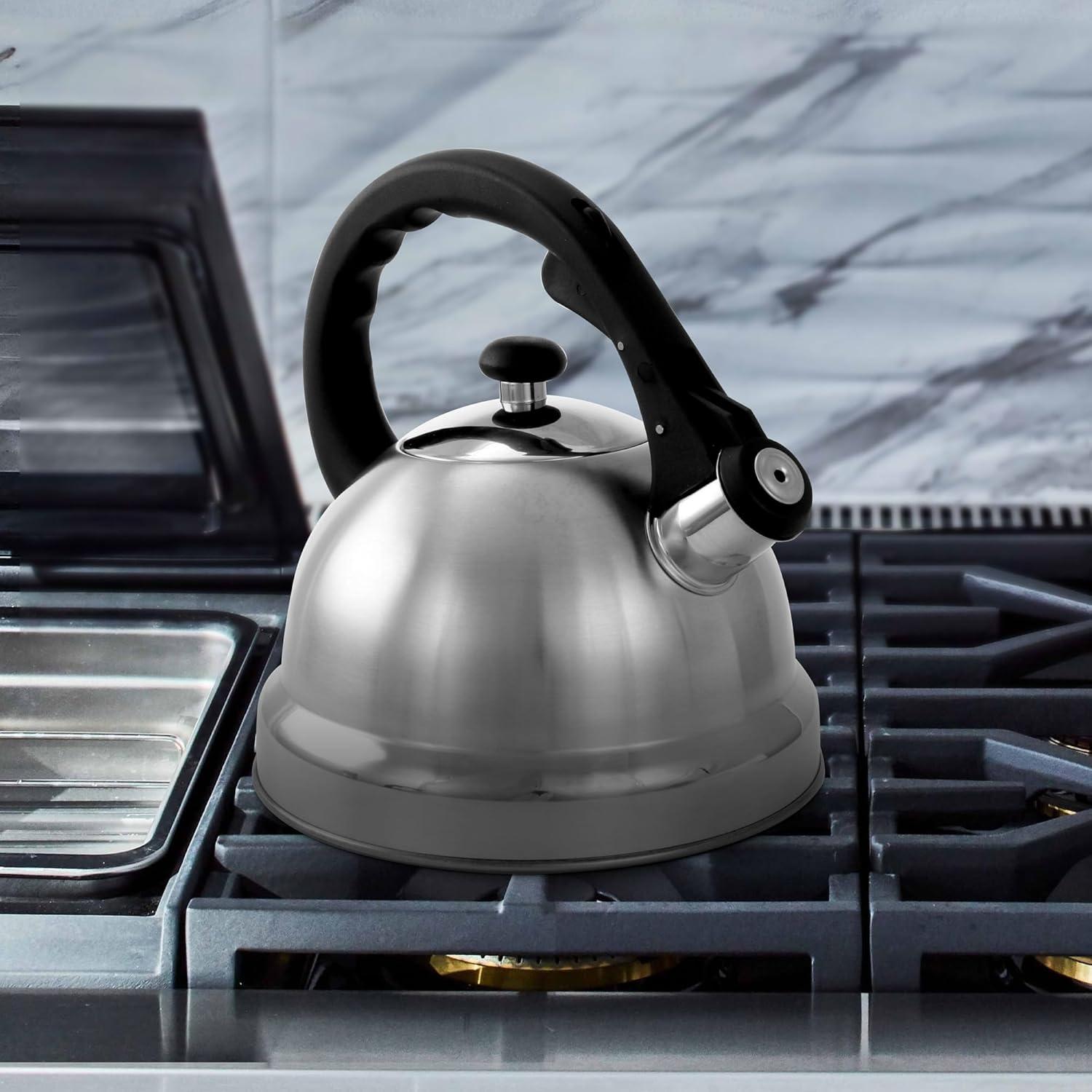 Silver Stainless Steel 2.2 Qt Whistling Tea Kettle