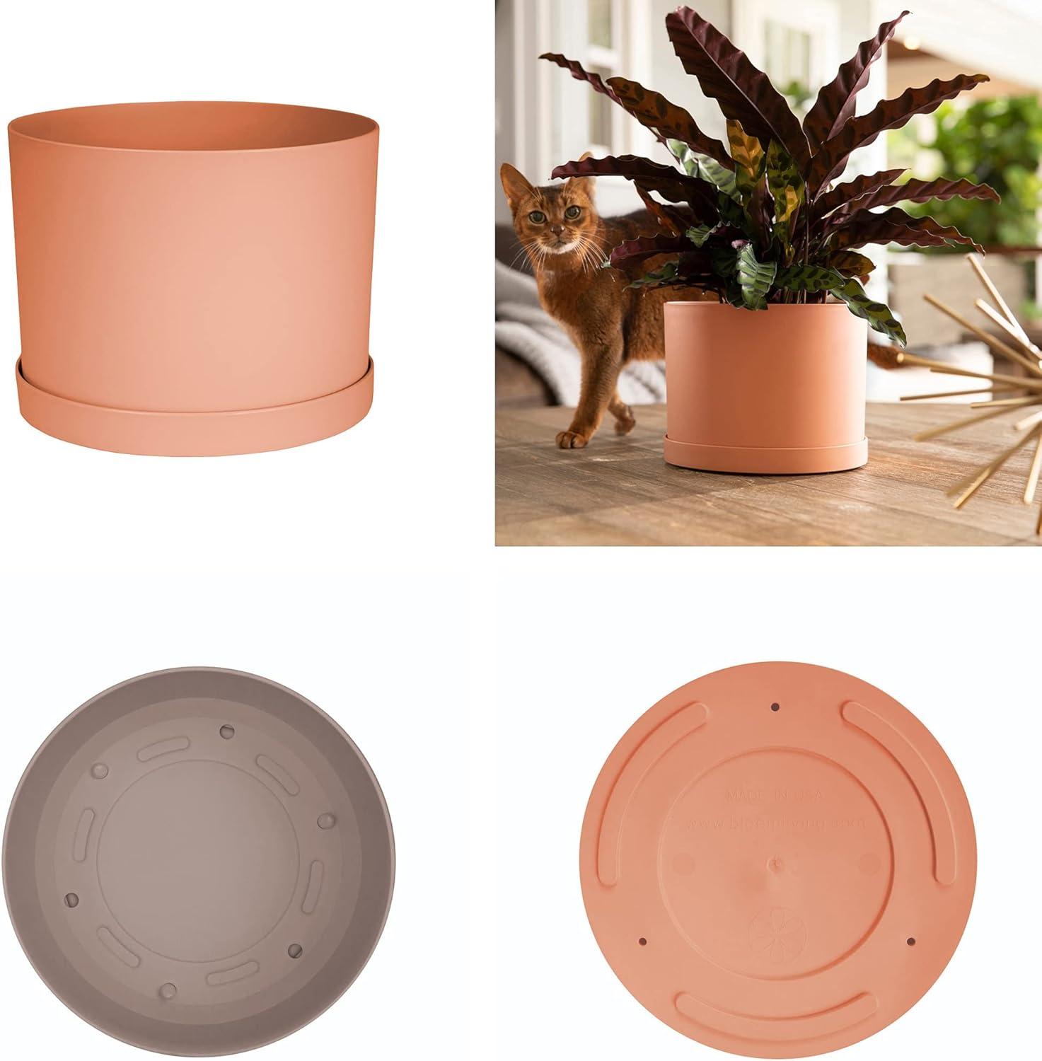 Bloem 8-in Mathers Round Resin Planter with Saucer - Muted Terra Cotta Color