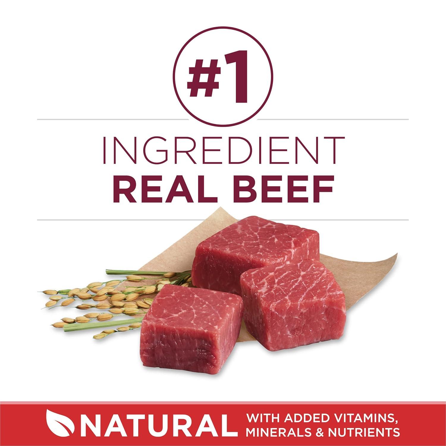 Purina ONE Mainline Small Bites Beef & Rice Flavor Dry Dog Food - 31.1lbs