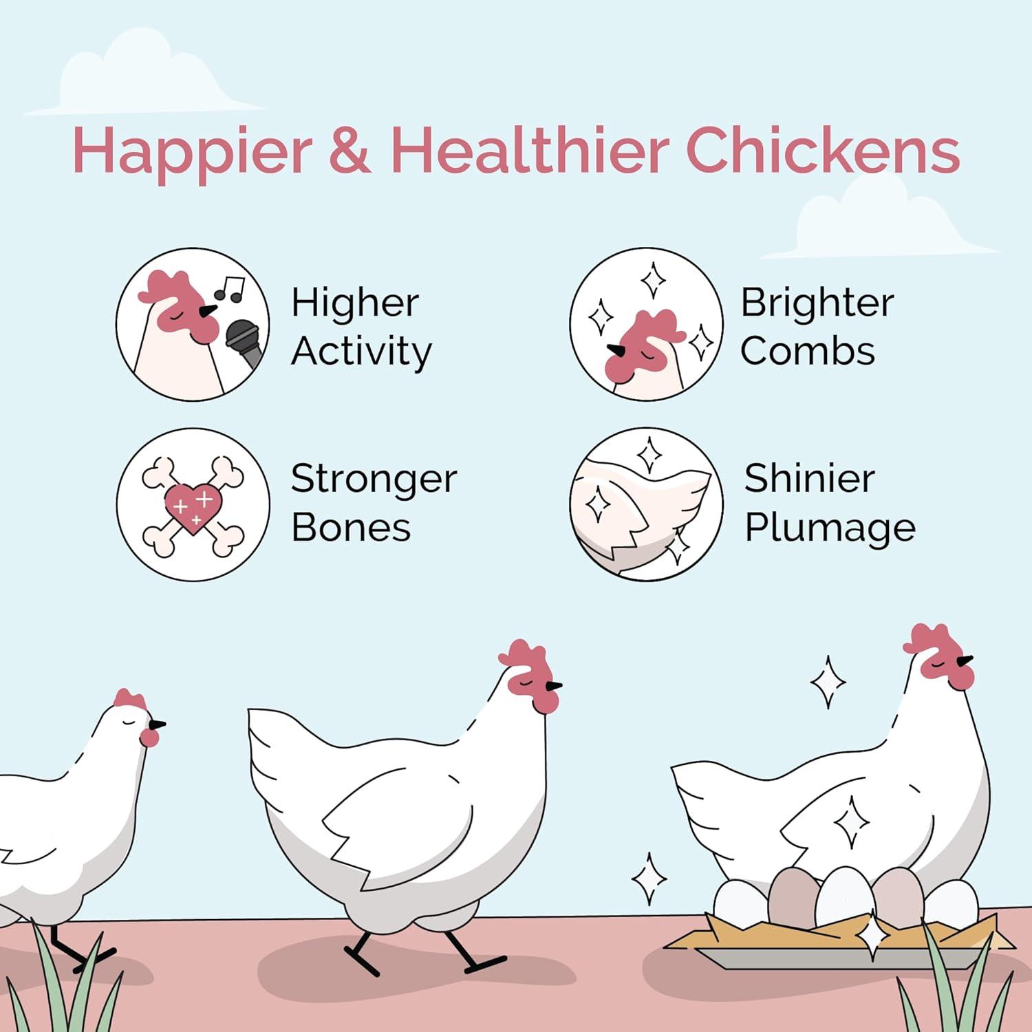 Mile Four | Layer Organic Chicken Feed | 100% US Grown Grains, Certified Organic, Certified Non-GMO, Corn-Free, Soy-Free, Non-Medicated Chicken Food | 16% Protein | Whole Grain | 23 lbs.
