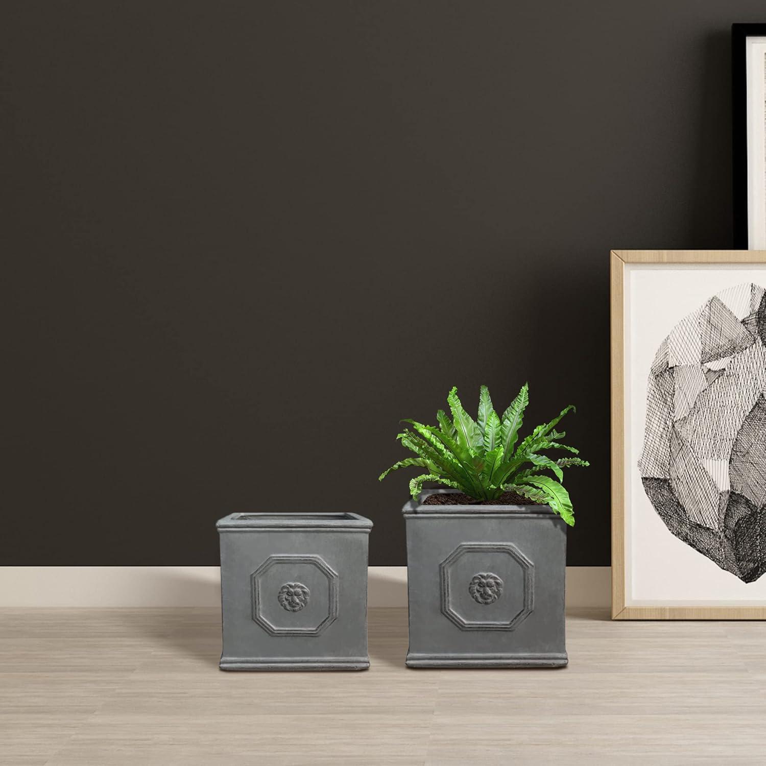 Kante 2 Piece 12.5" and 10.2"H Square Antique Gray Lightweight Classic English Style Lion Head Planters, Outdoor/Indoor Planters Pots with Drainage Hole Set