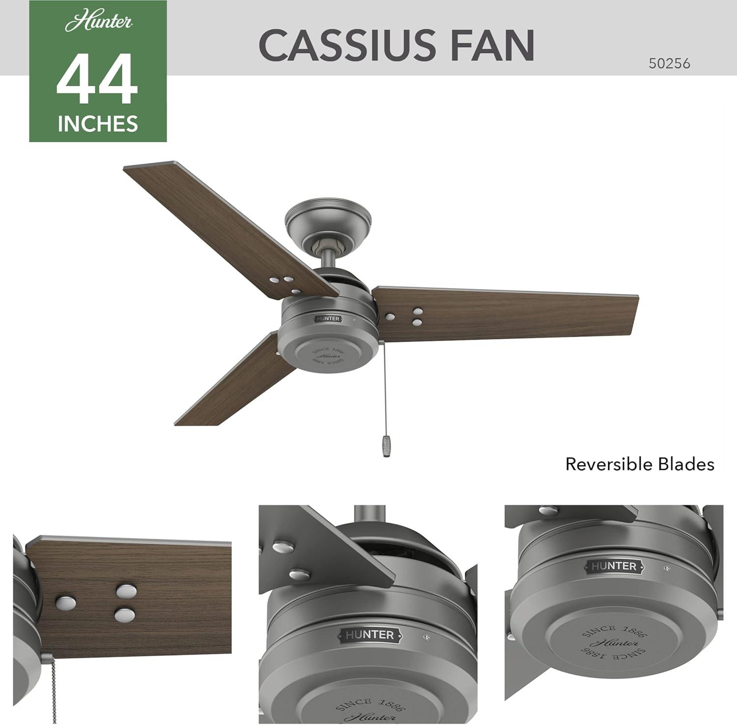 44" Cassius 3 - Blade Outdoor Standard Ceiling Fan with Pull Chain