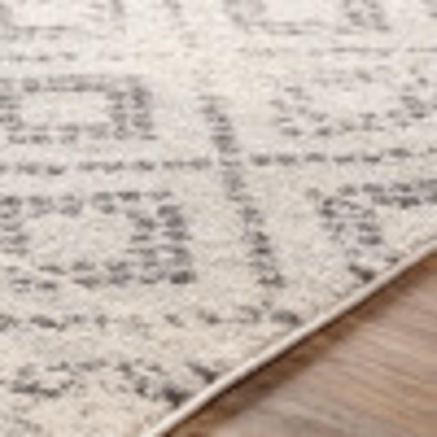 Light Gray Synthetic 8' x 10' Bohemian Area Rug