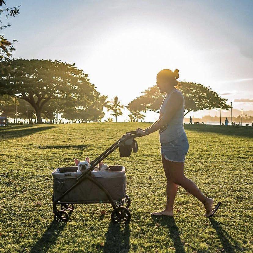 Baby Trend Baby Trend Foldable 4 Wheel Multi-Child Stroller with Storage