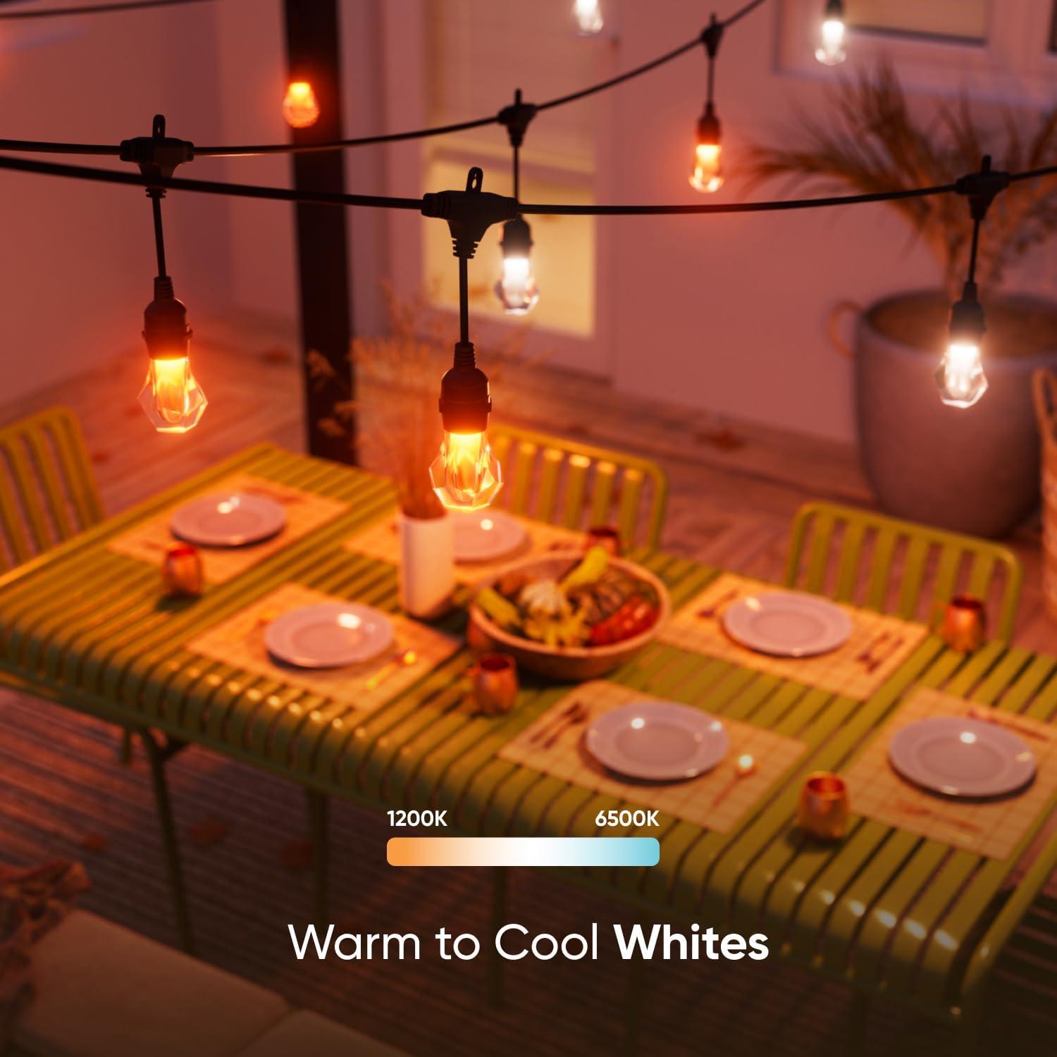 Matter Smart Multicolor LED Outdoor String Lights with Addressable Bulbs