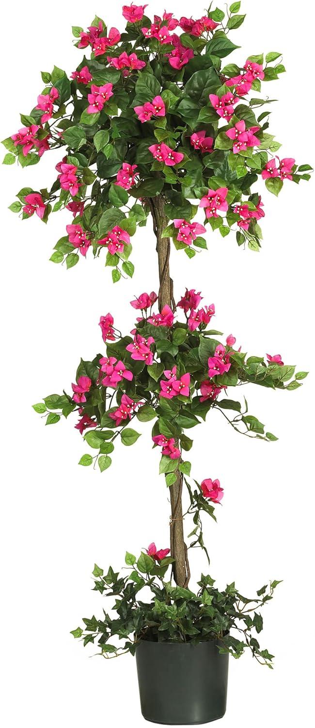 Primrue 5ft. Mini Bougainvillea Topiary