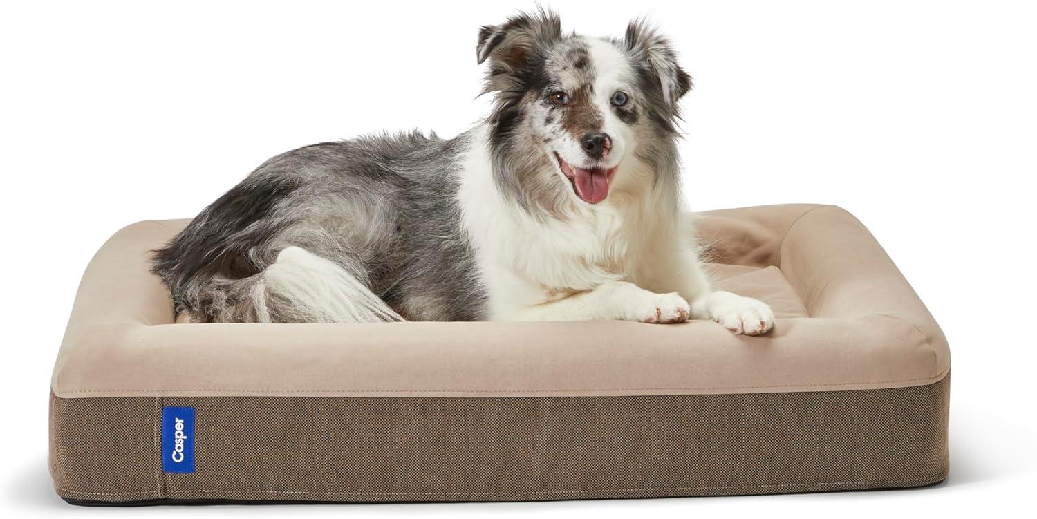 Casper Sleep The Casper Dog Bed