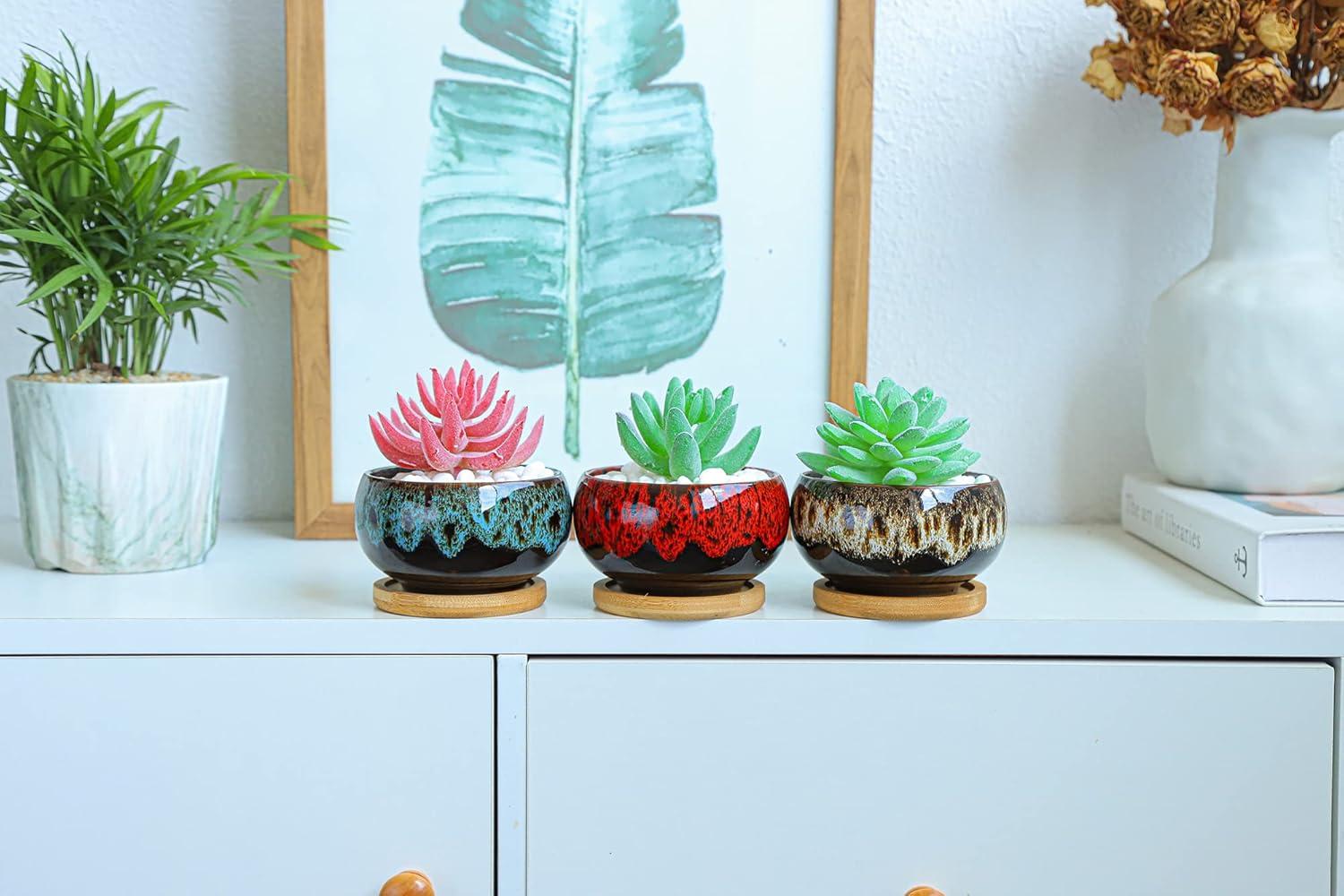 Colorful Ceramic Succulent Planters with Drainage and Saucers, Set of 5