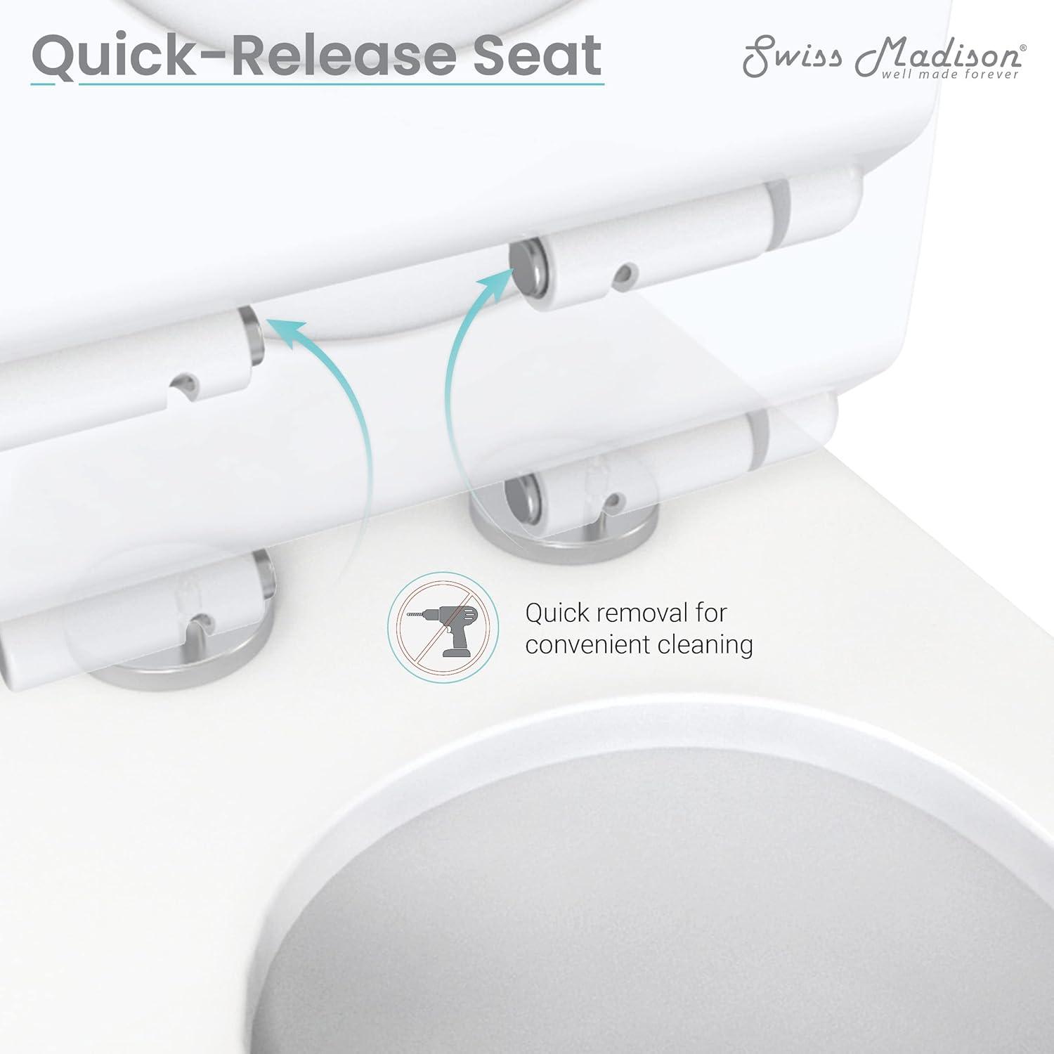 Arles One-Piece Elongated Toilet Vortex Dual-Flush 0.8/1.18 gpf