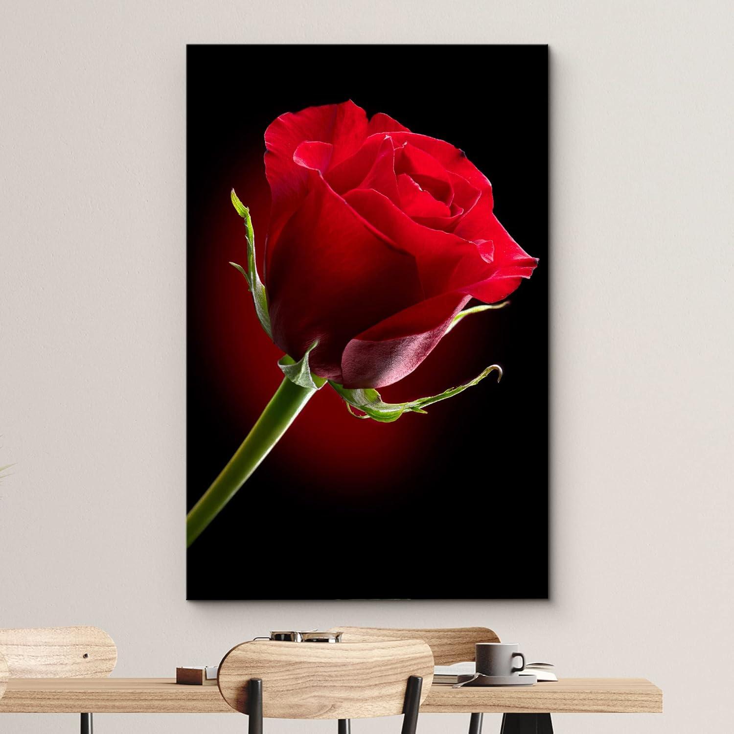 Canvas Prints Wall Art - Closeup of Red Rose Flower Against Black Background | Modern Wall Decor/Home Decoration Stretched Gallery Canvas Wrap Giclee Print & Ready to Hang - 32" x 48"